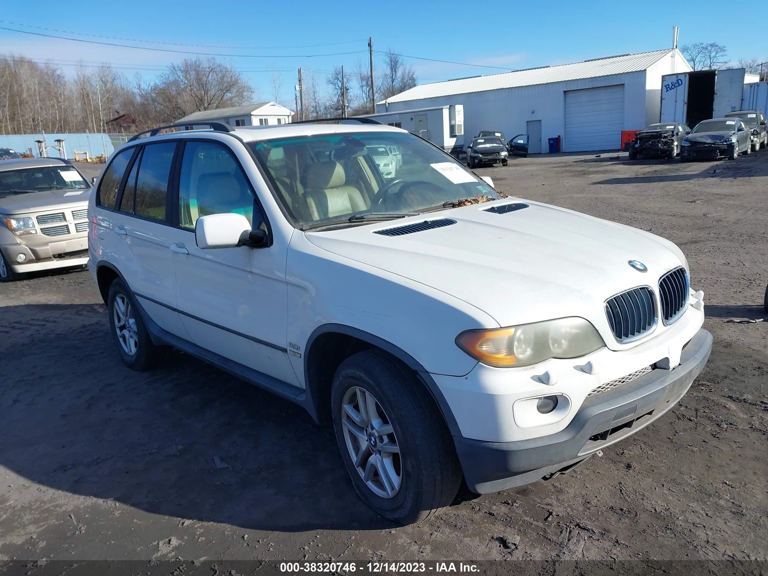 Photo 0 VIN: 5UXFA13574LU29501 - BMW X5 