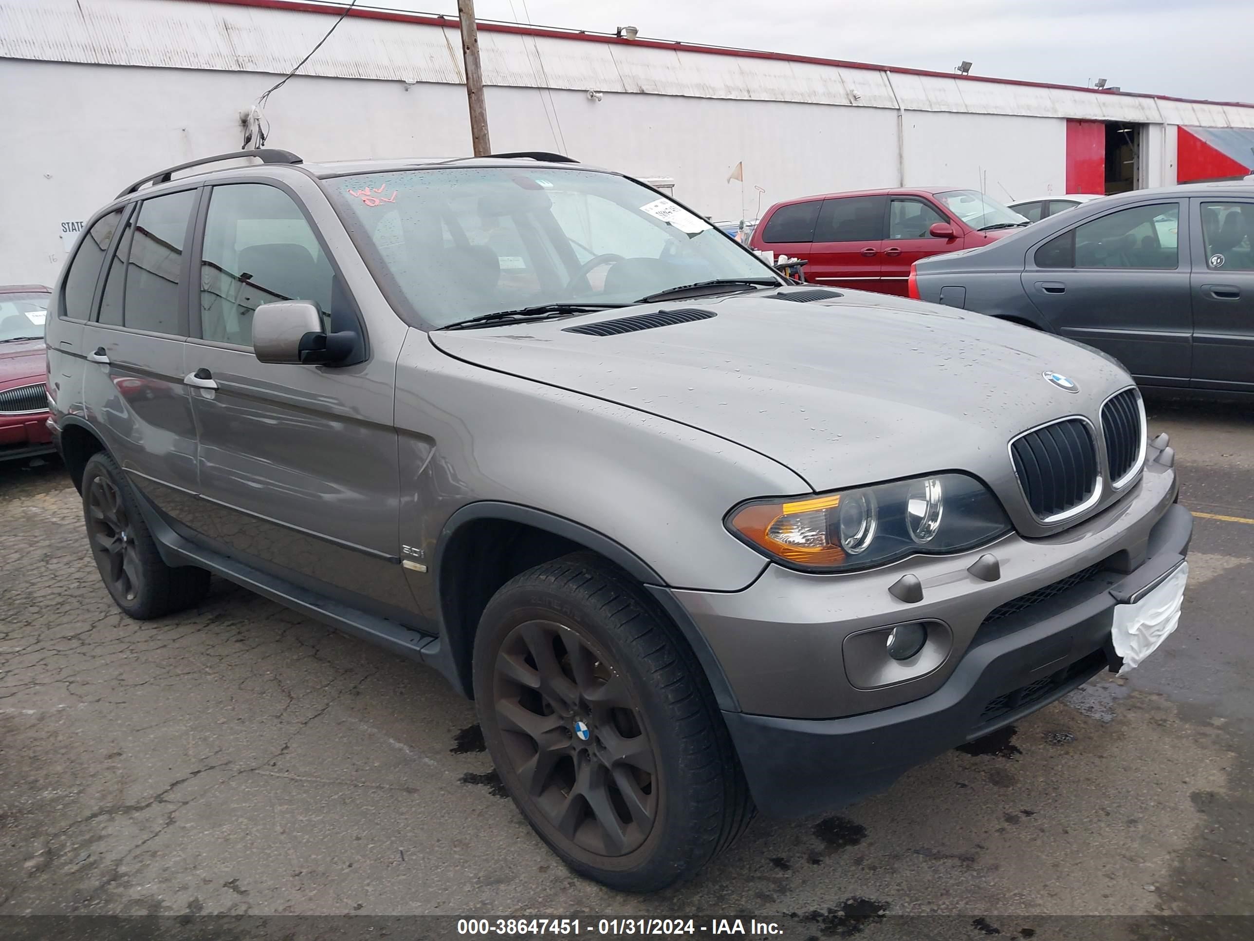 Photo 1 VIN: 5UXFA13586LY40120 - BMW X5 