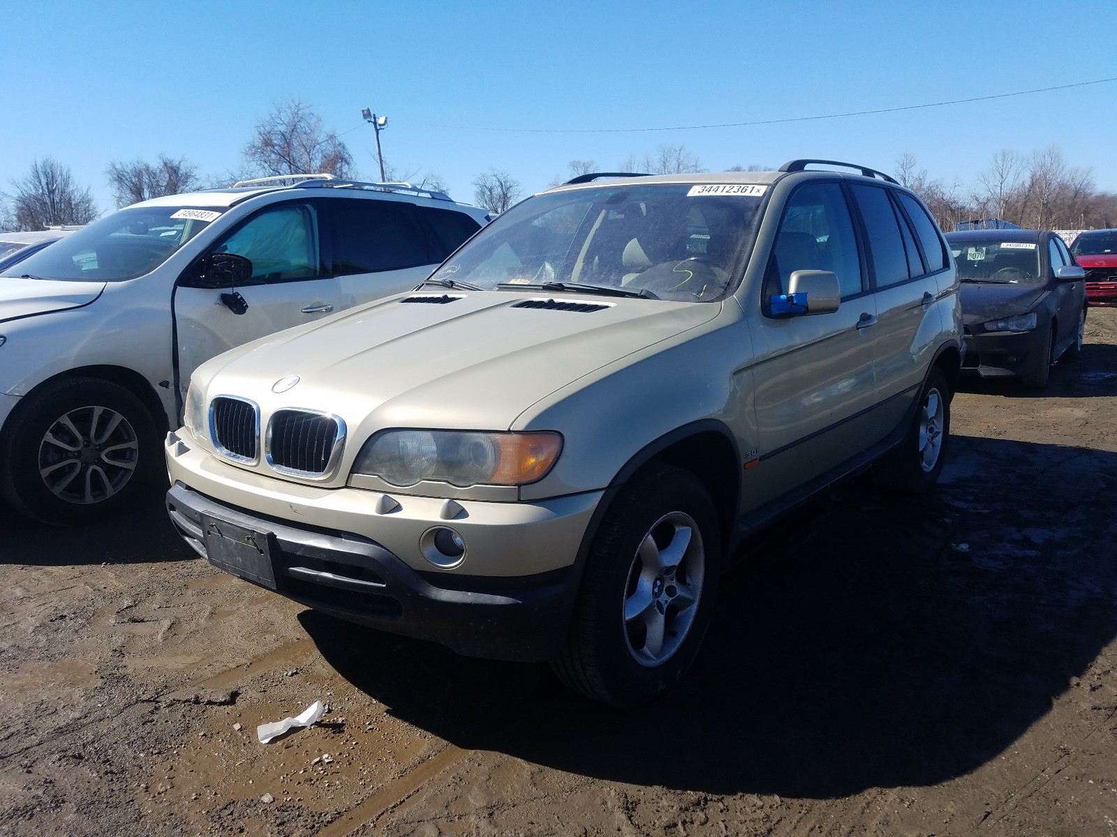 Photo 1 VIN: 5UXFA53503LV78029 - BMW X5 3.0I 