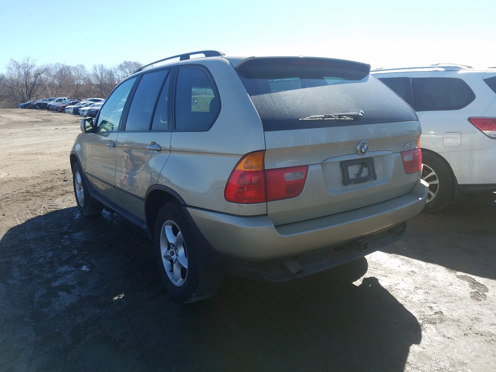 Photo 2 VIN: 5UXFA53503LV78029 - BMW X5 3.0I 