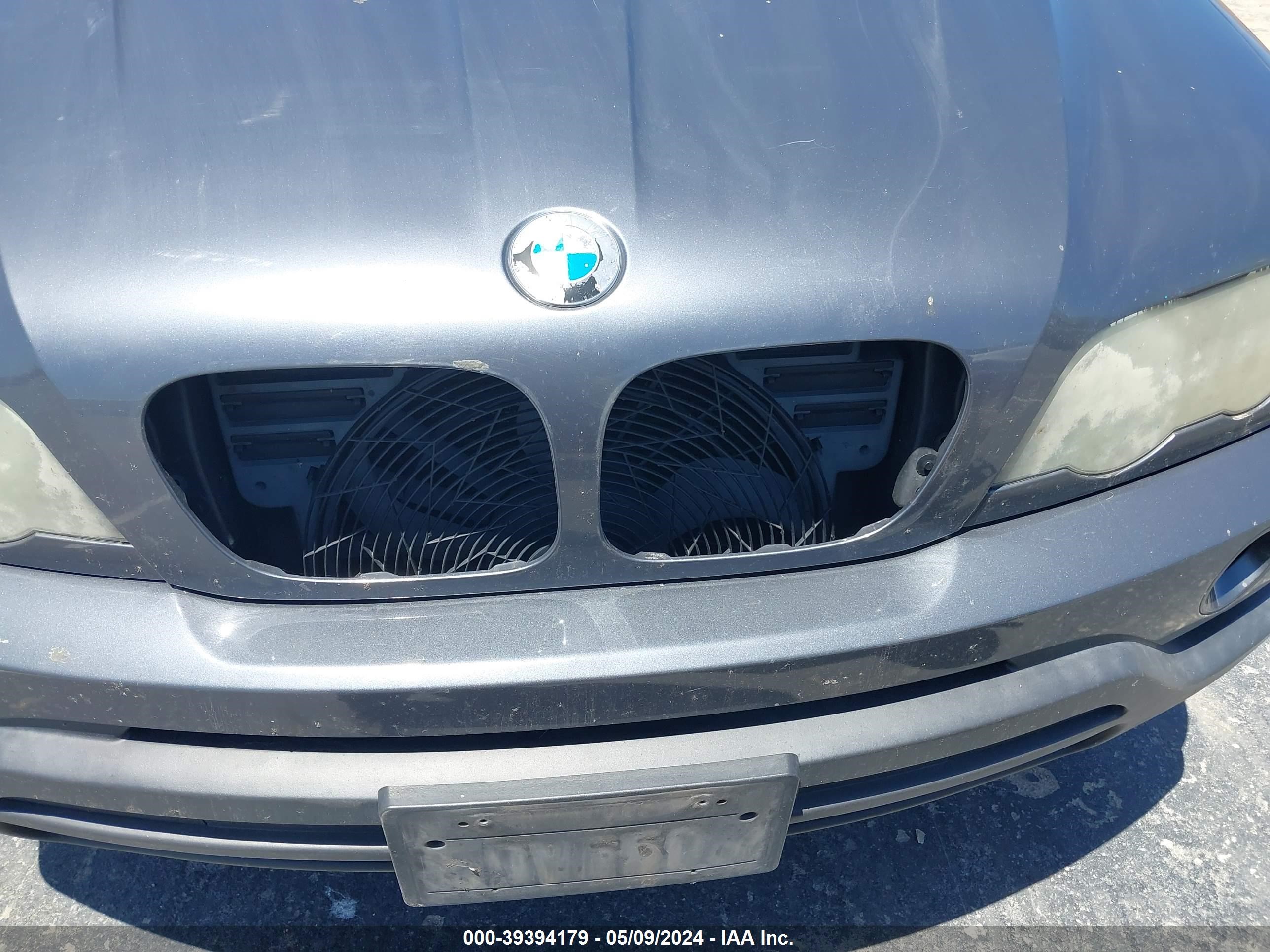 Photo 11 VIN: 5UXFA53503LV95686 - BMW X5 