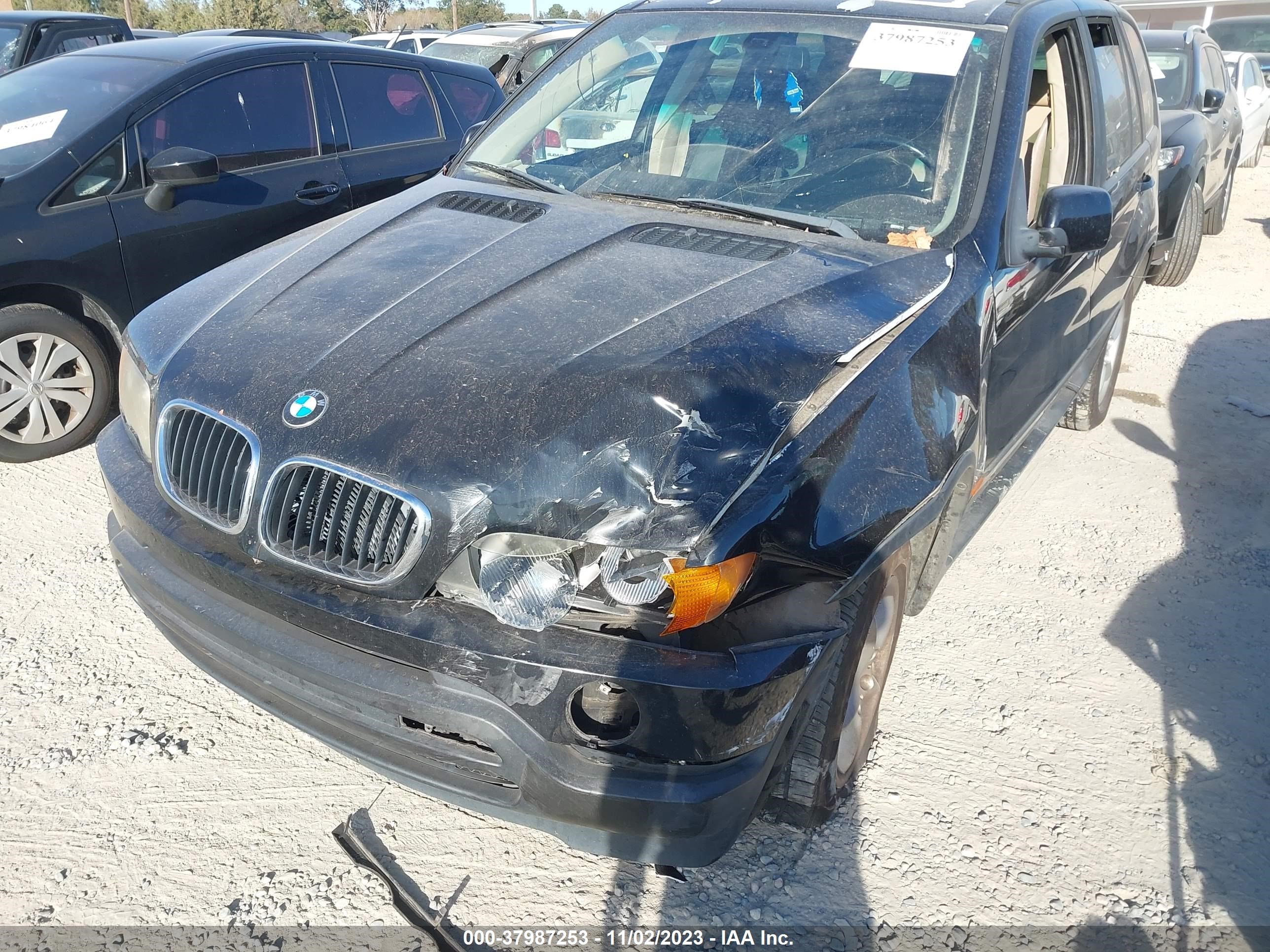 Photo 5 VIN: 5UXFA53513LV99360 - BMW X5 