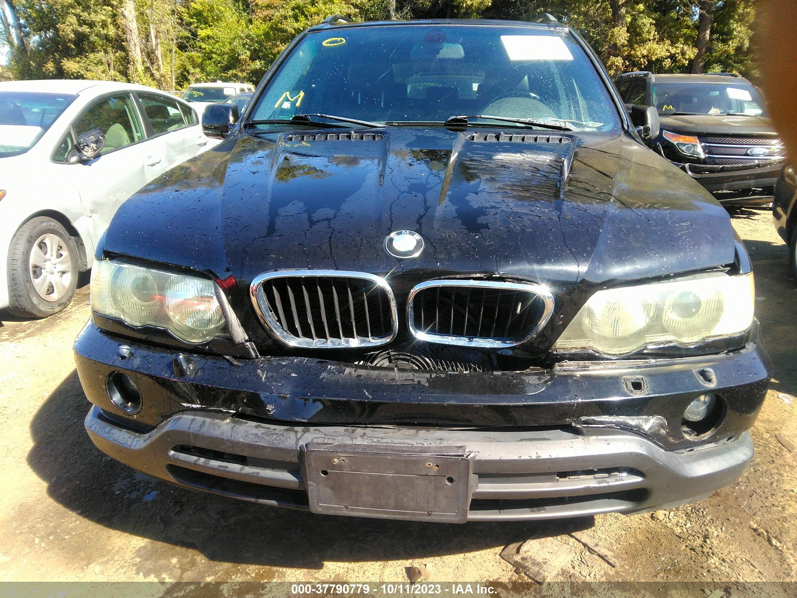 Photo 5 VIN: 5UXFA53533LV76663 - BMW X5 