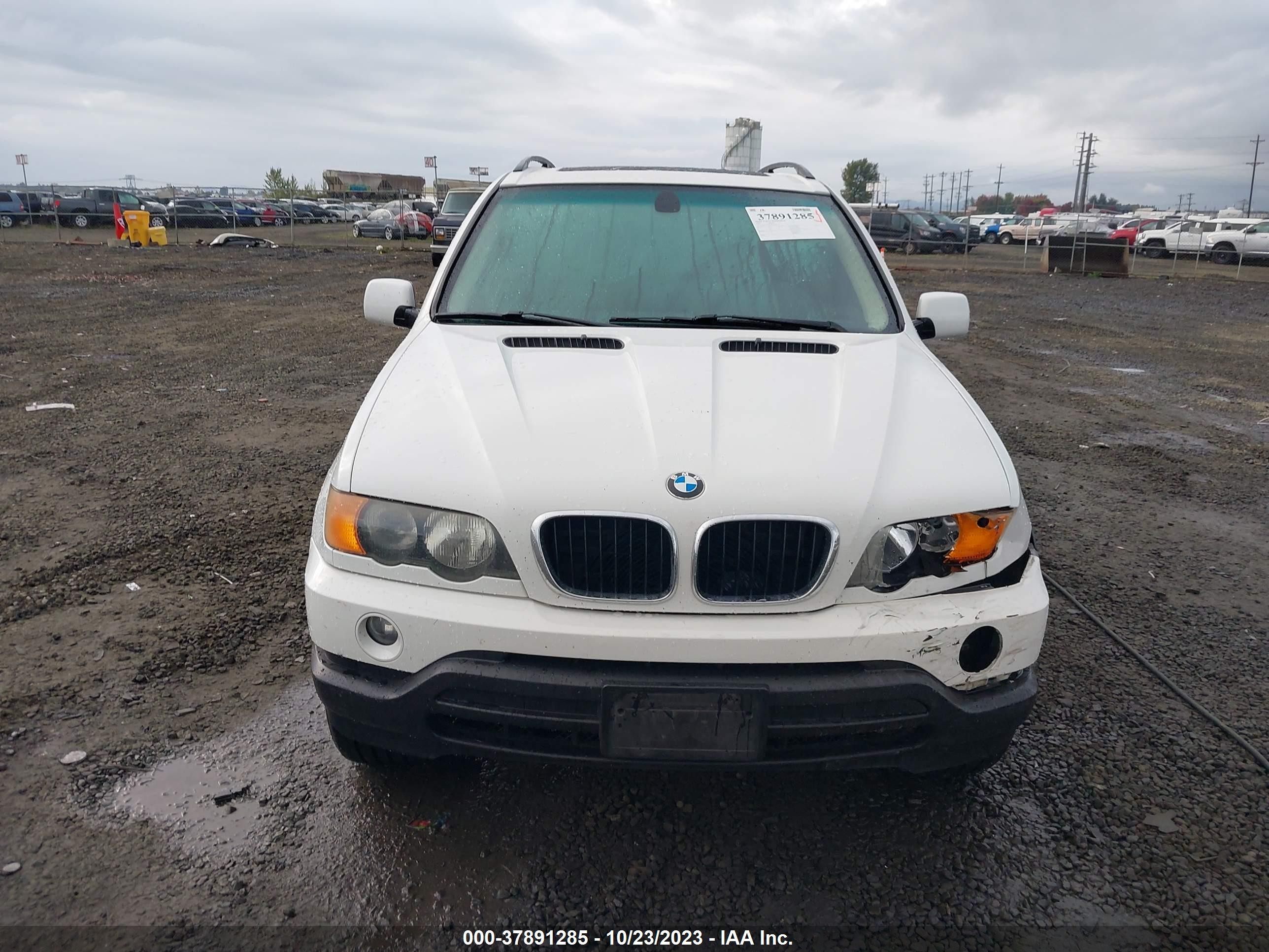 Photo 11 VIN: 5UXFA53543LP26439 - BMW X5 