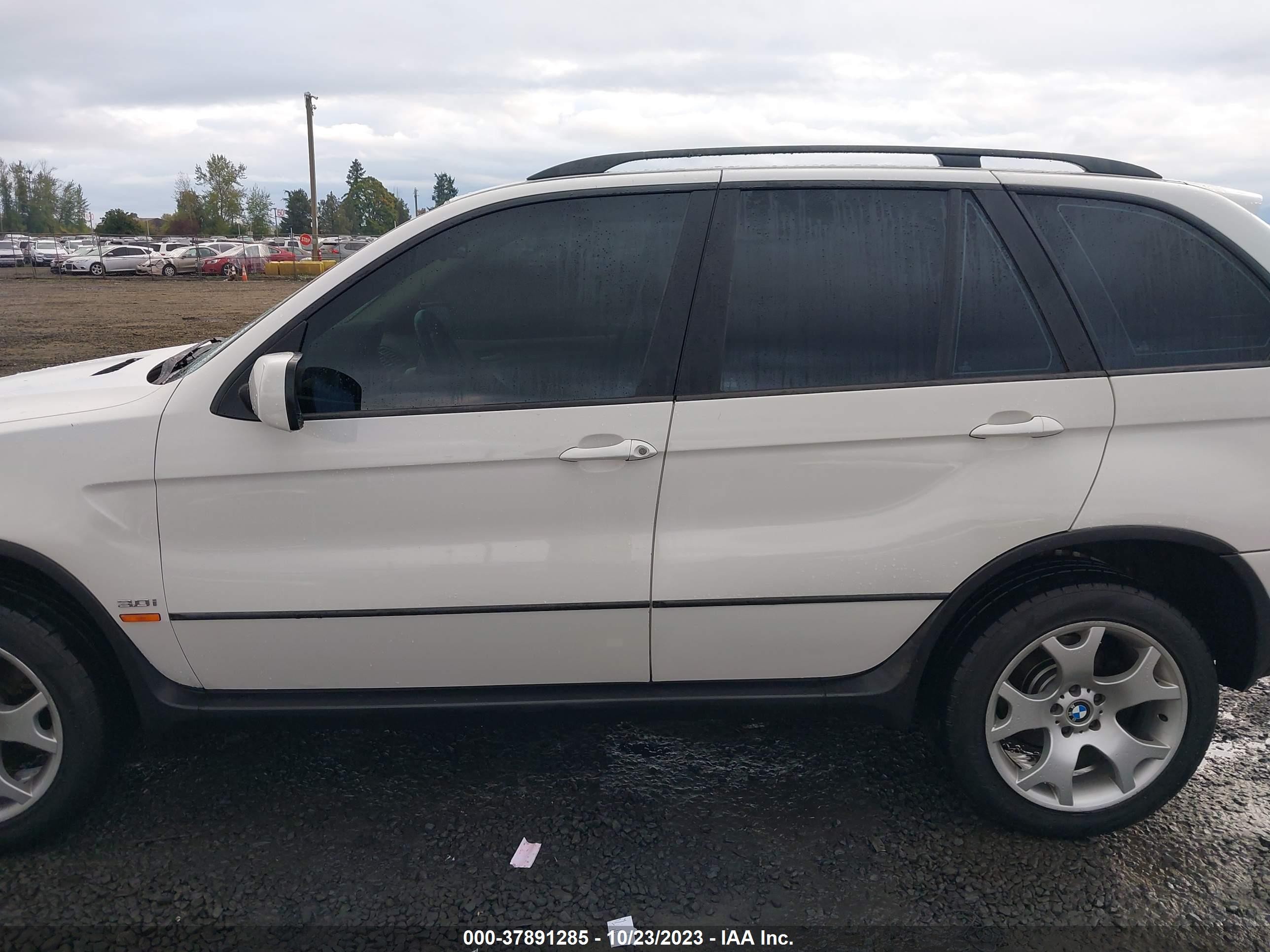 Photo 13 VIN: 5UXFA53543LP26439 - BMW X5 