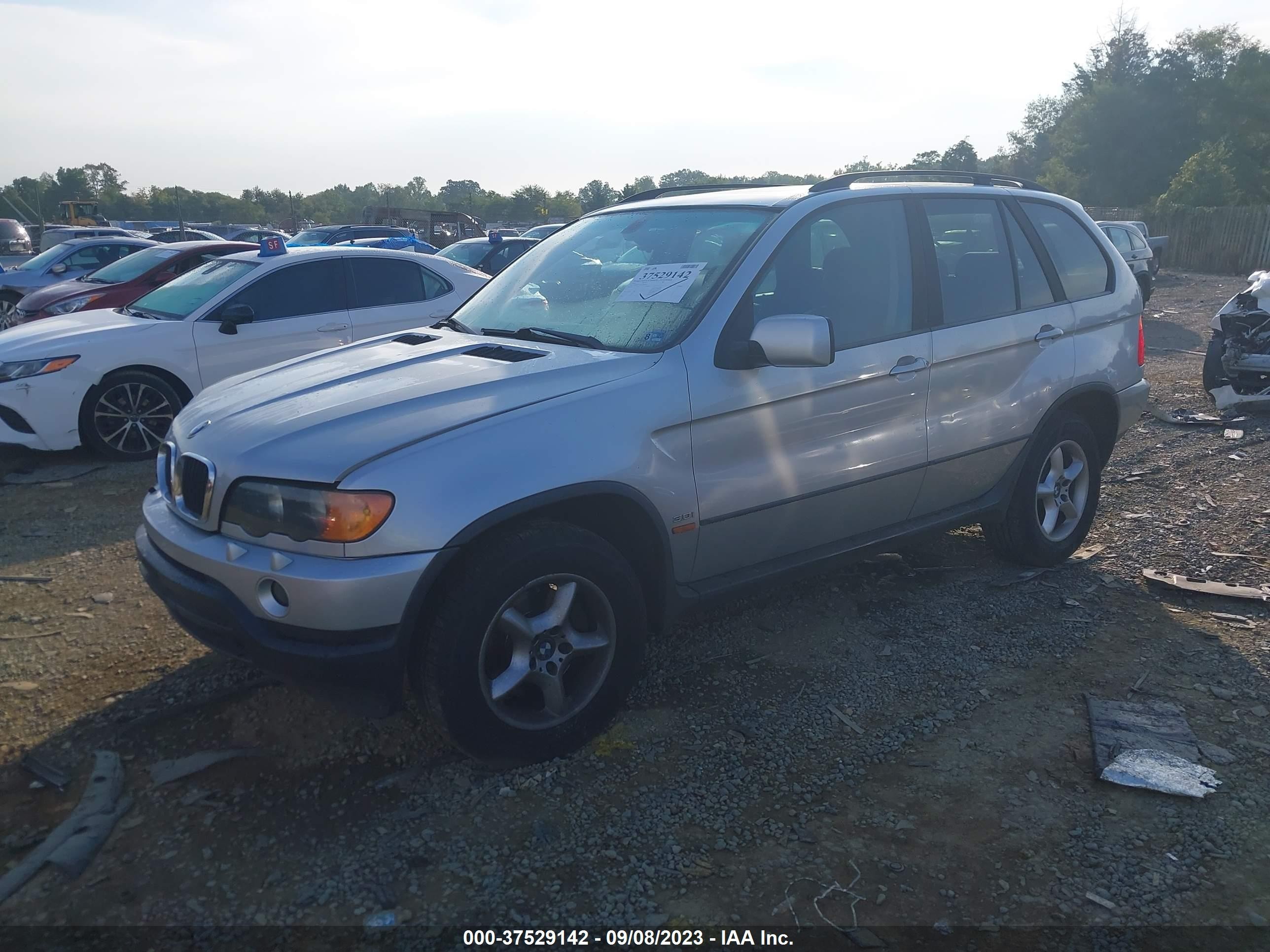 Photo 1 VIN: 5UXFA53553LV80763 - BMW X5 