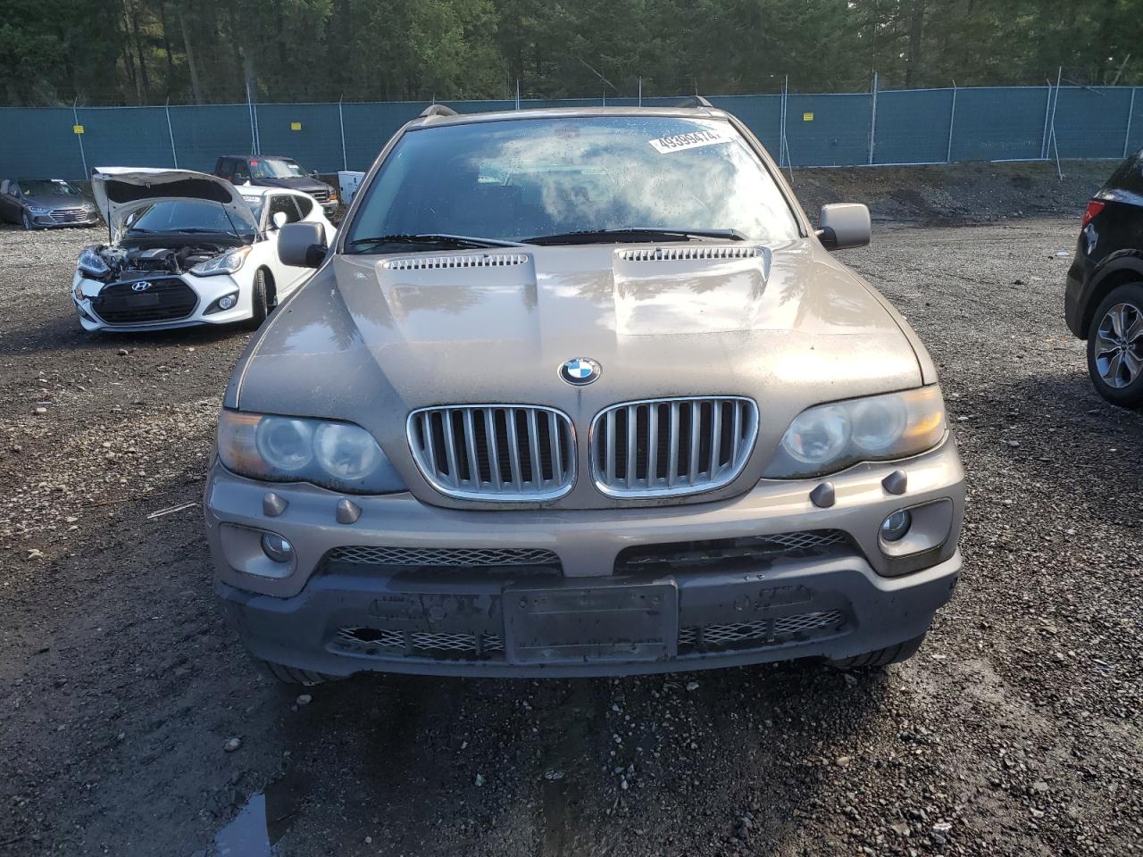 Photo 4 VIN: 5UXFB53515LV16817 - BMW X5 