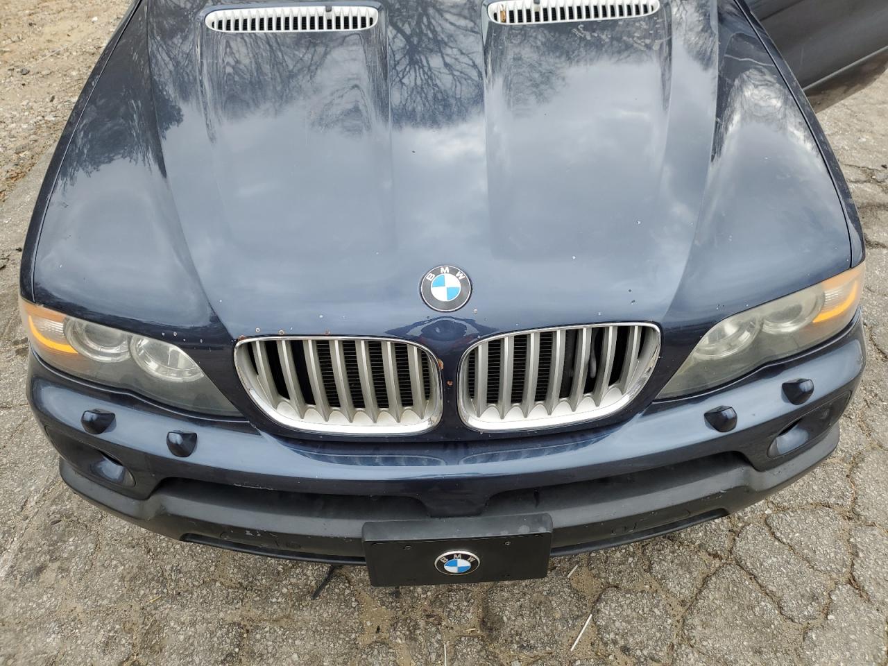 Photo 10 VIN: 5UXFB53556LV29491 - BMW X5 