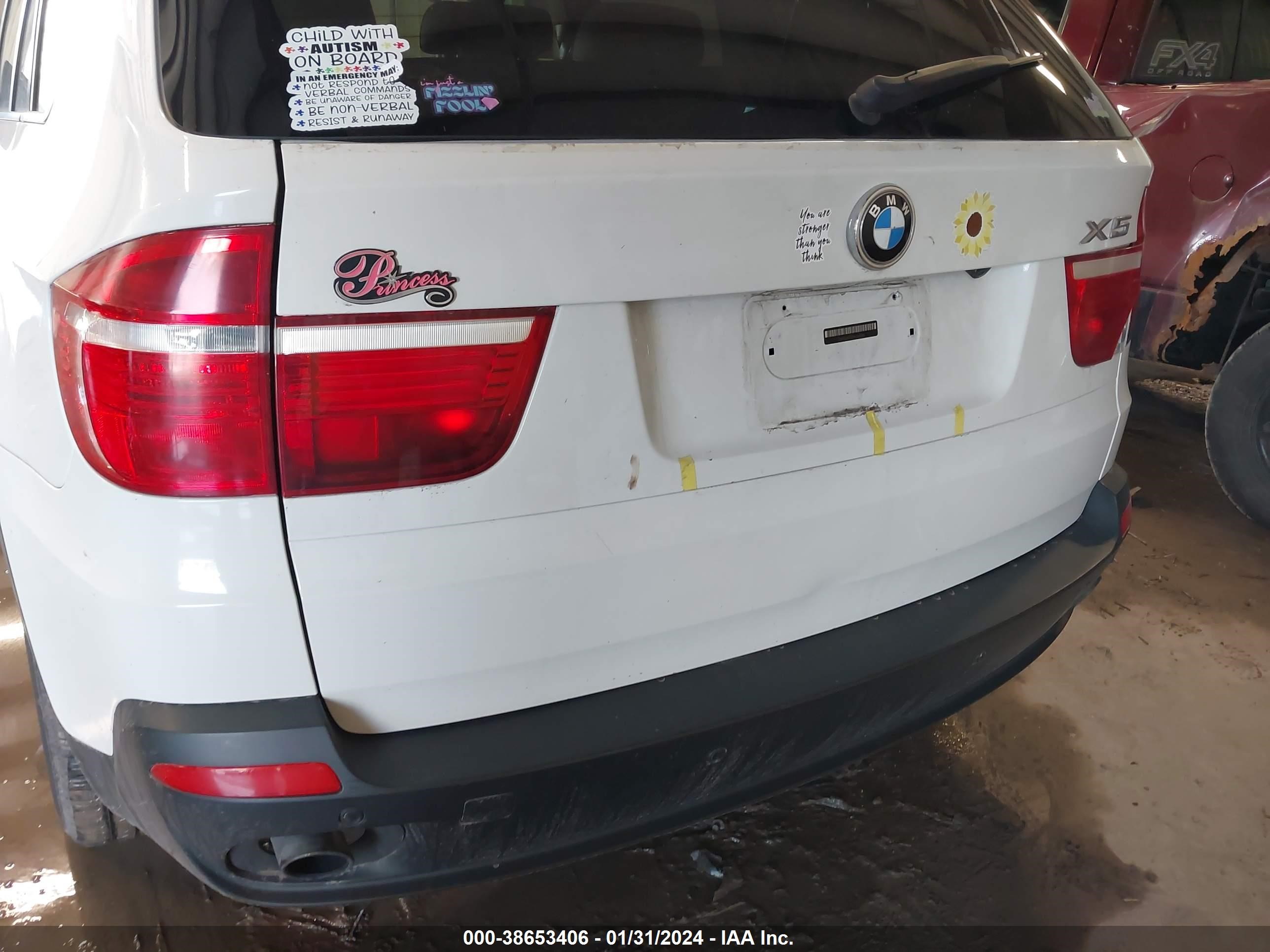 Photo 5 VIN: 5UXFE43509L268180 - BMW X5 