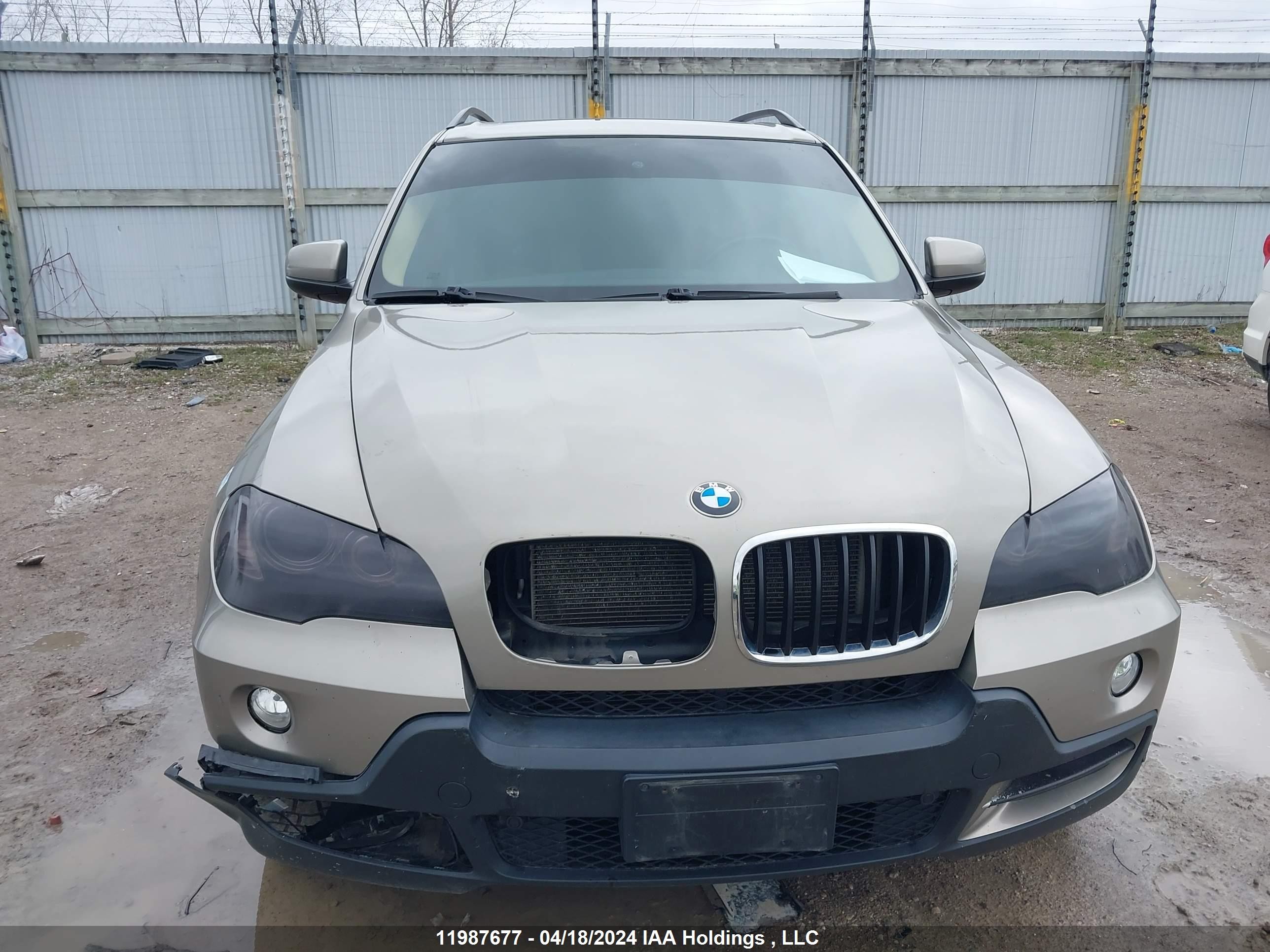 Photo 11 VIN: 5UXFE43549L273060 - BMW X5 