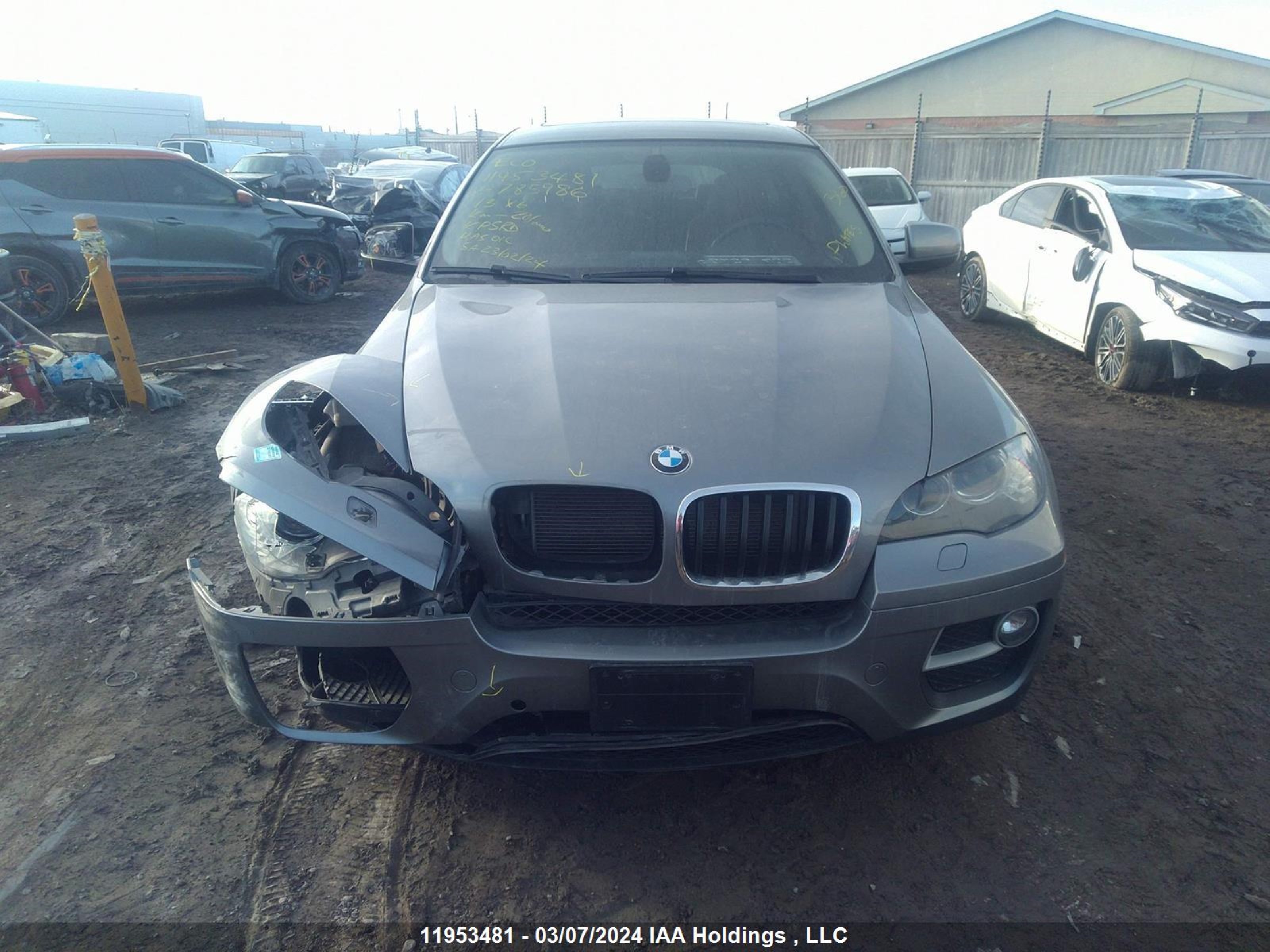 Photo 12 VIN: 5UXFG2C50DL785986 - BMW X6 