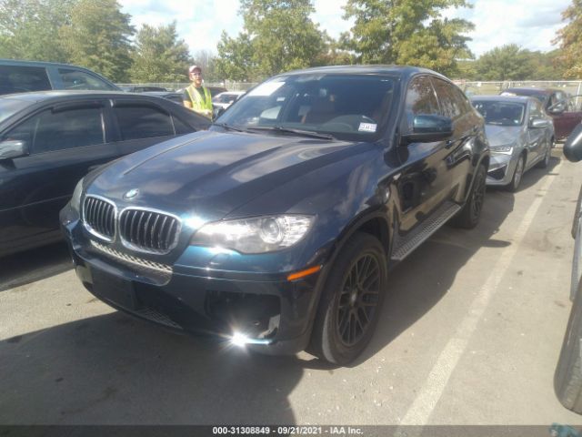 Photo 1 VIN: 5UXFG2C52DL786587 - BMW X6 