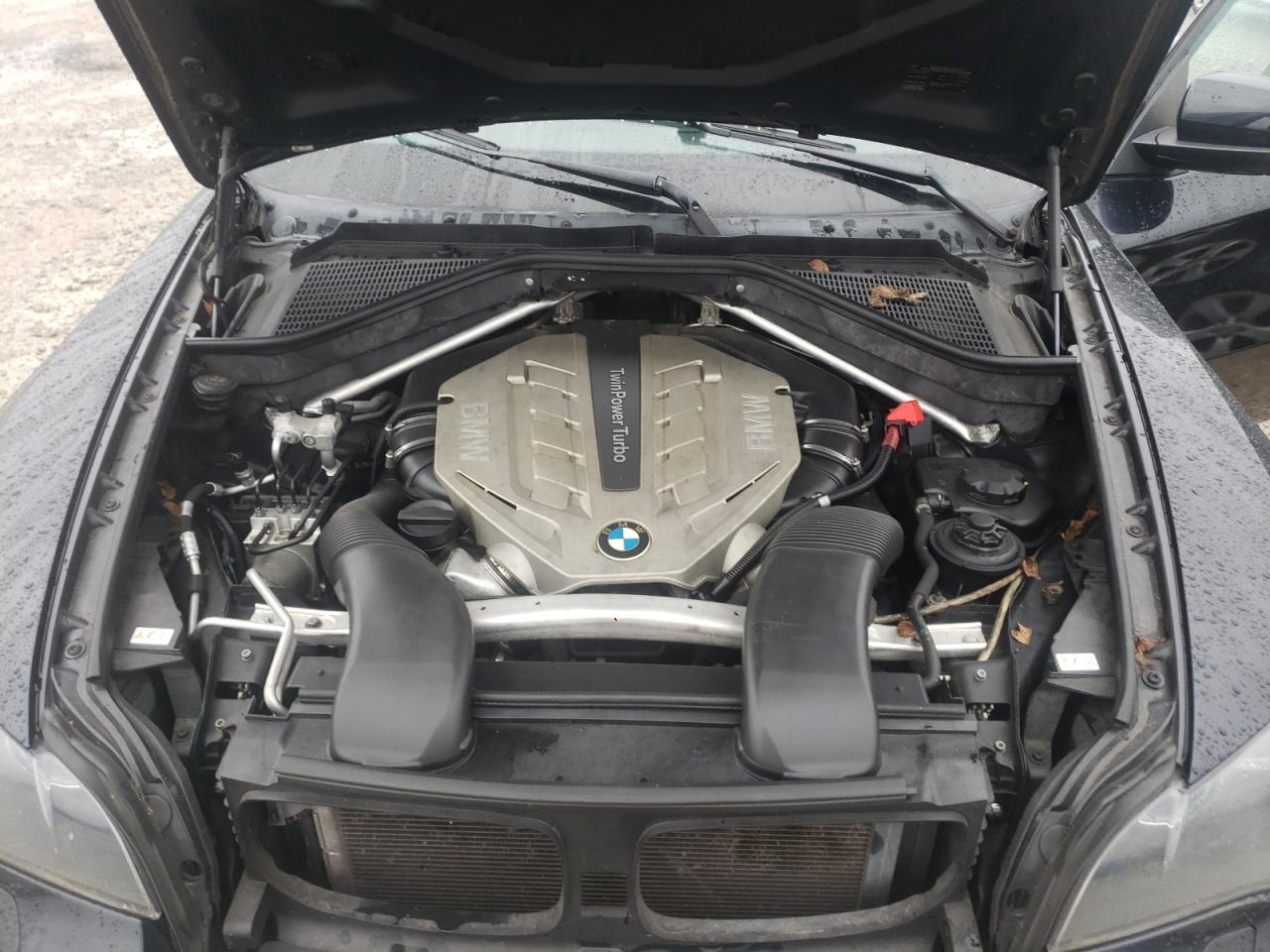 Photo 11 VIN: 5UXFG8C51BLZ96369 - BMW X6 