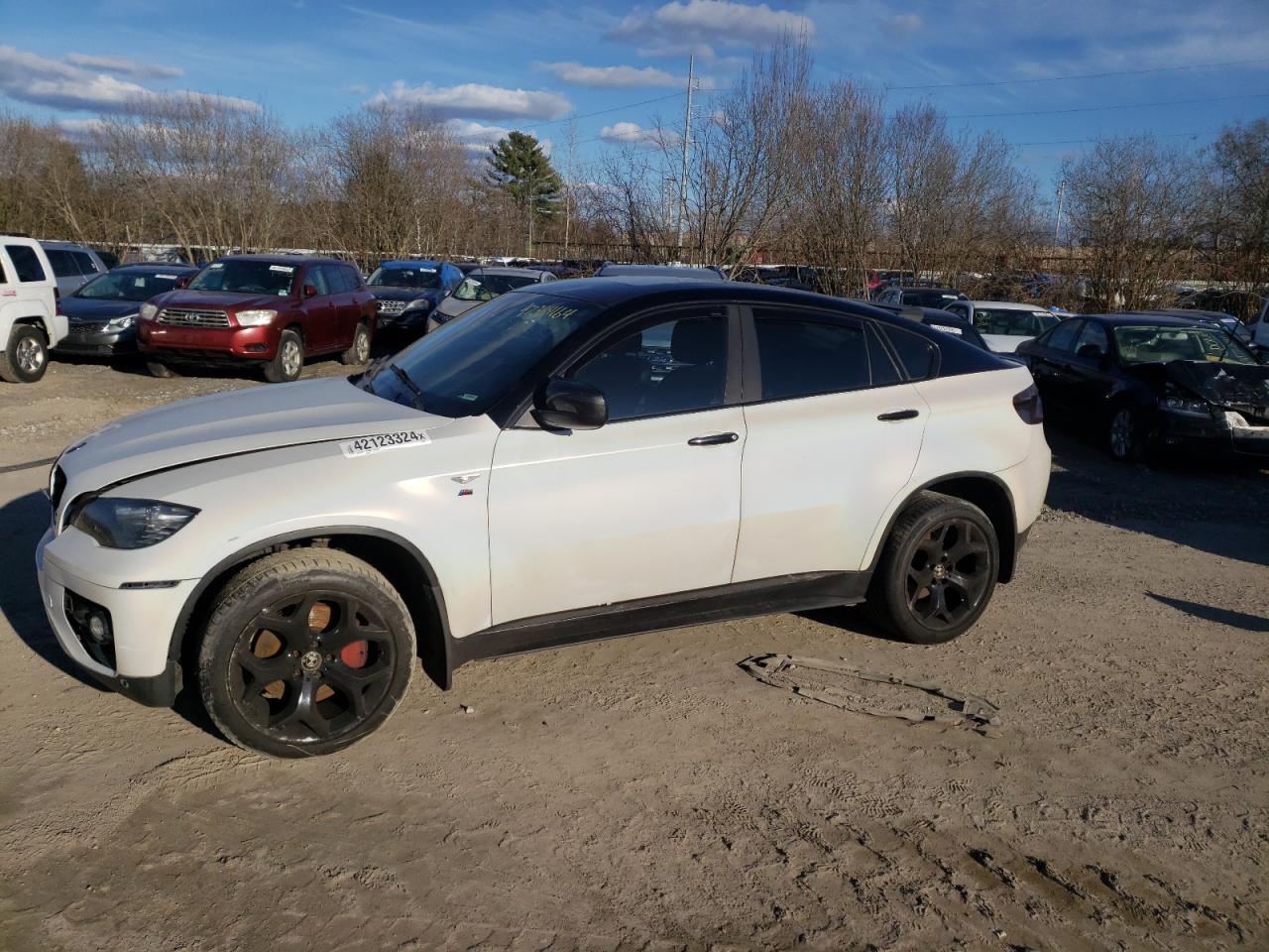 Photo 1 VIN: 5UXFG8C55BLZ96438 - BMW X6 