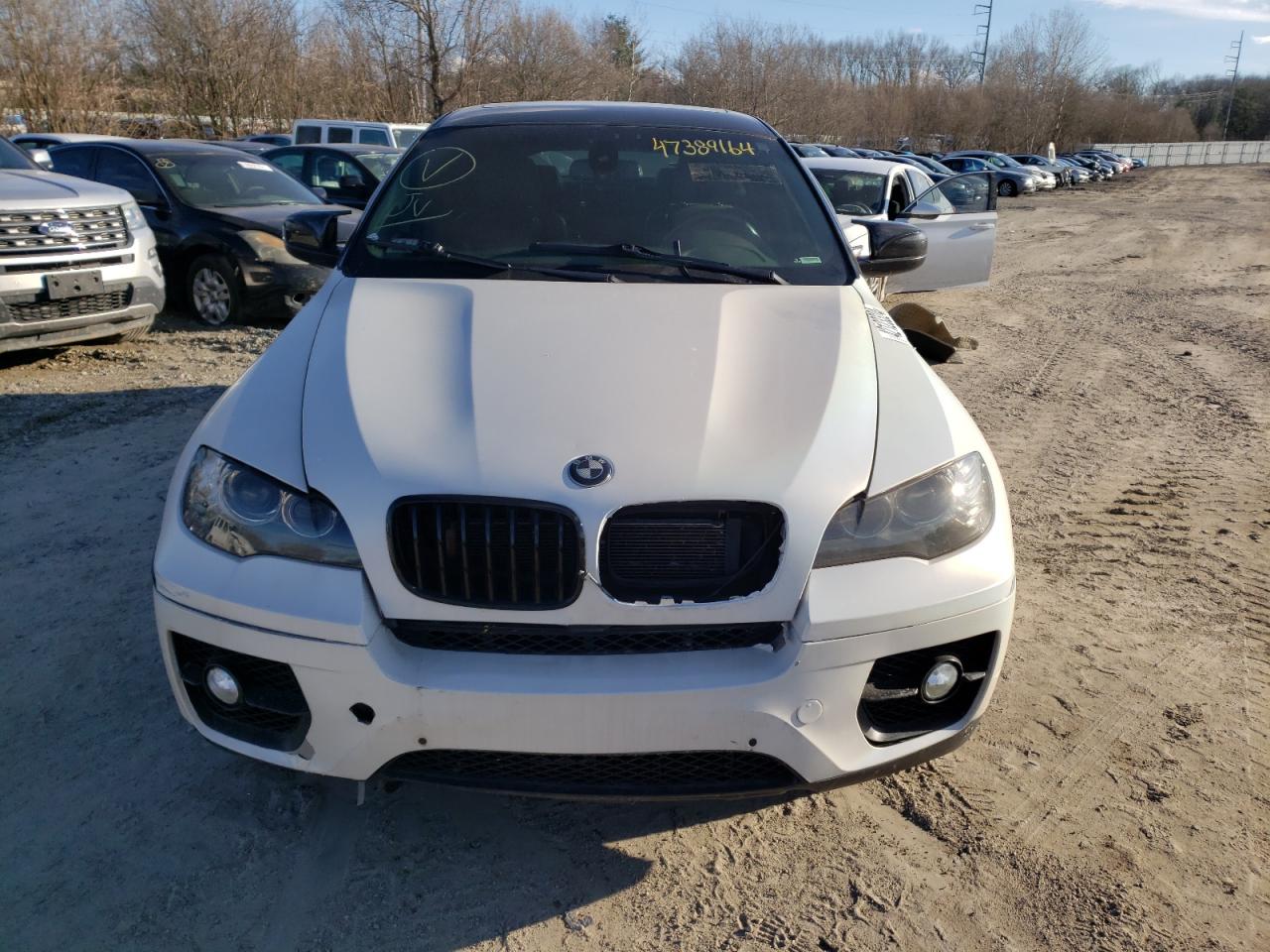 Photo 5 VIN: 5UXFG8C55BLZ96438 - BMW X6 