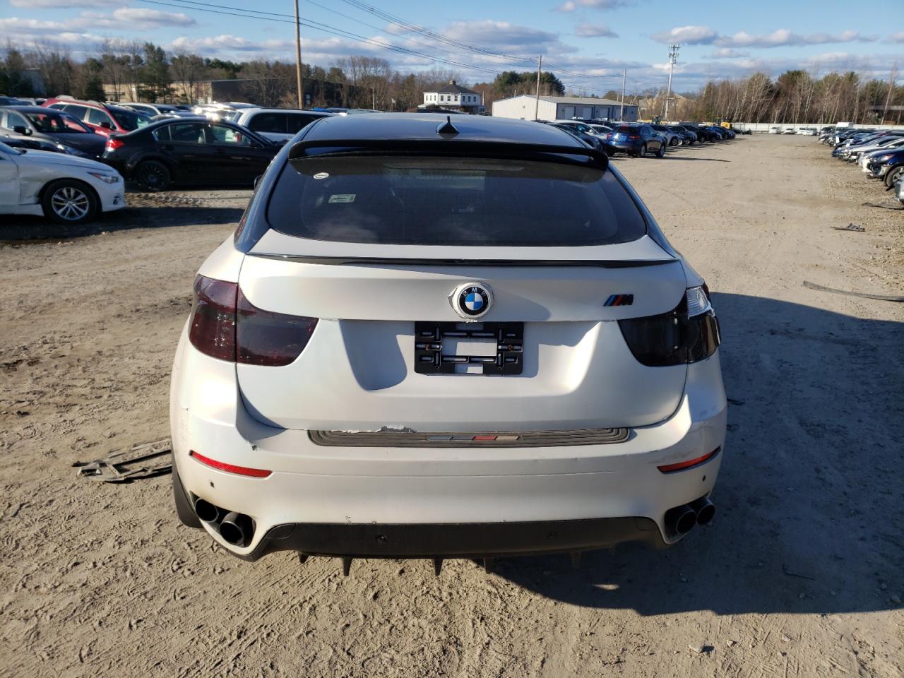 Photo 6 VIN: 5UXFG8C55BLZ96438 - BMW X6 