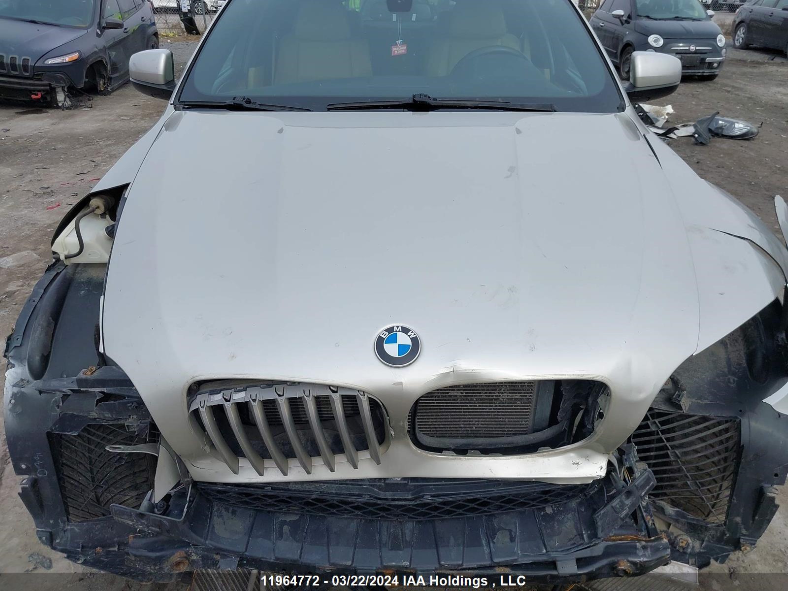 Photo 9 VIN: 5UXFG8C5XALZ94733 - BMW X6 