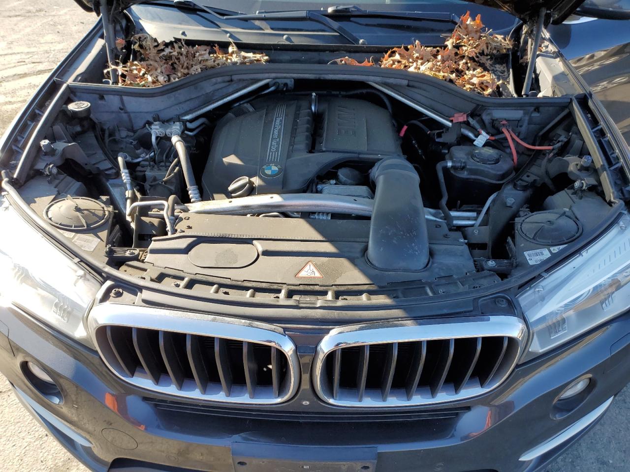 Photo 11 VIN: 5UXKR0C51F0K62767 - BMW X5 