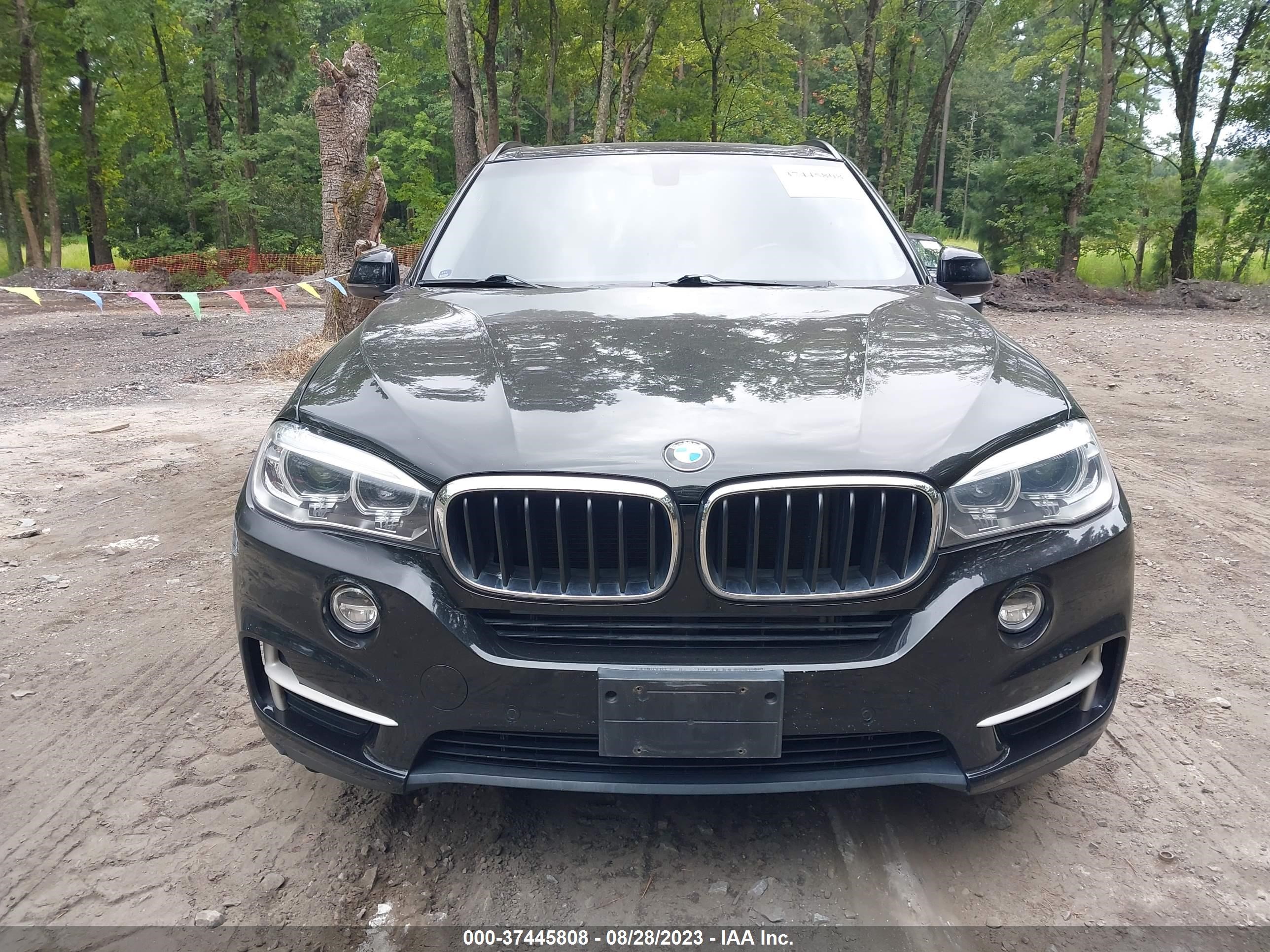 Photo 11 VIN: 5UXKR0C56G0U08131 - BMW X5 