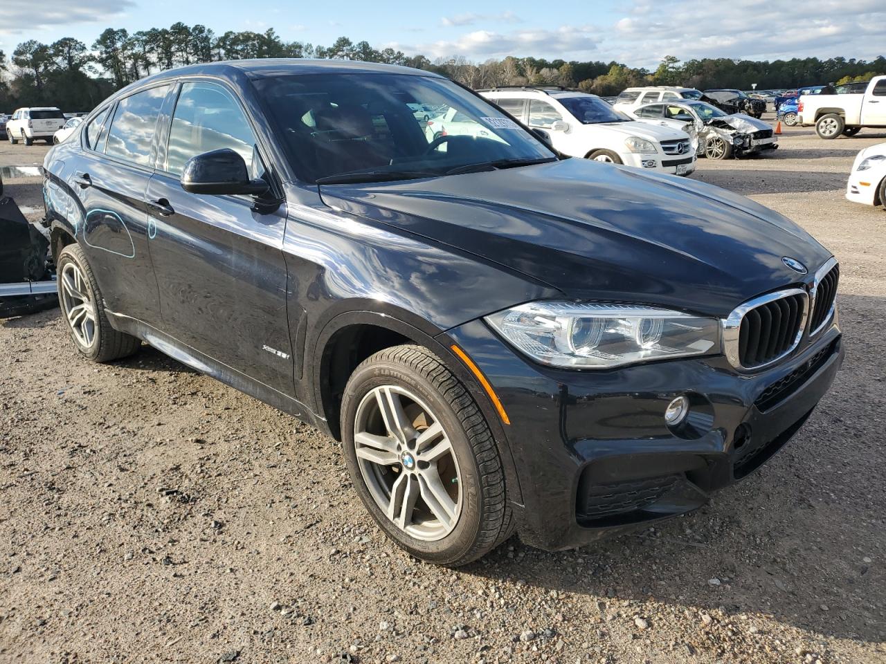 Photo 3 VIN: 5UXKU2C52G0N78206 - BMW X6 