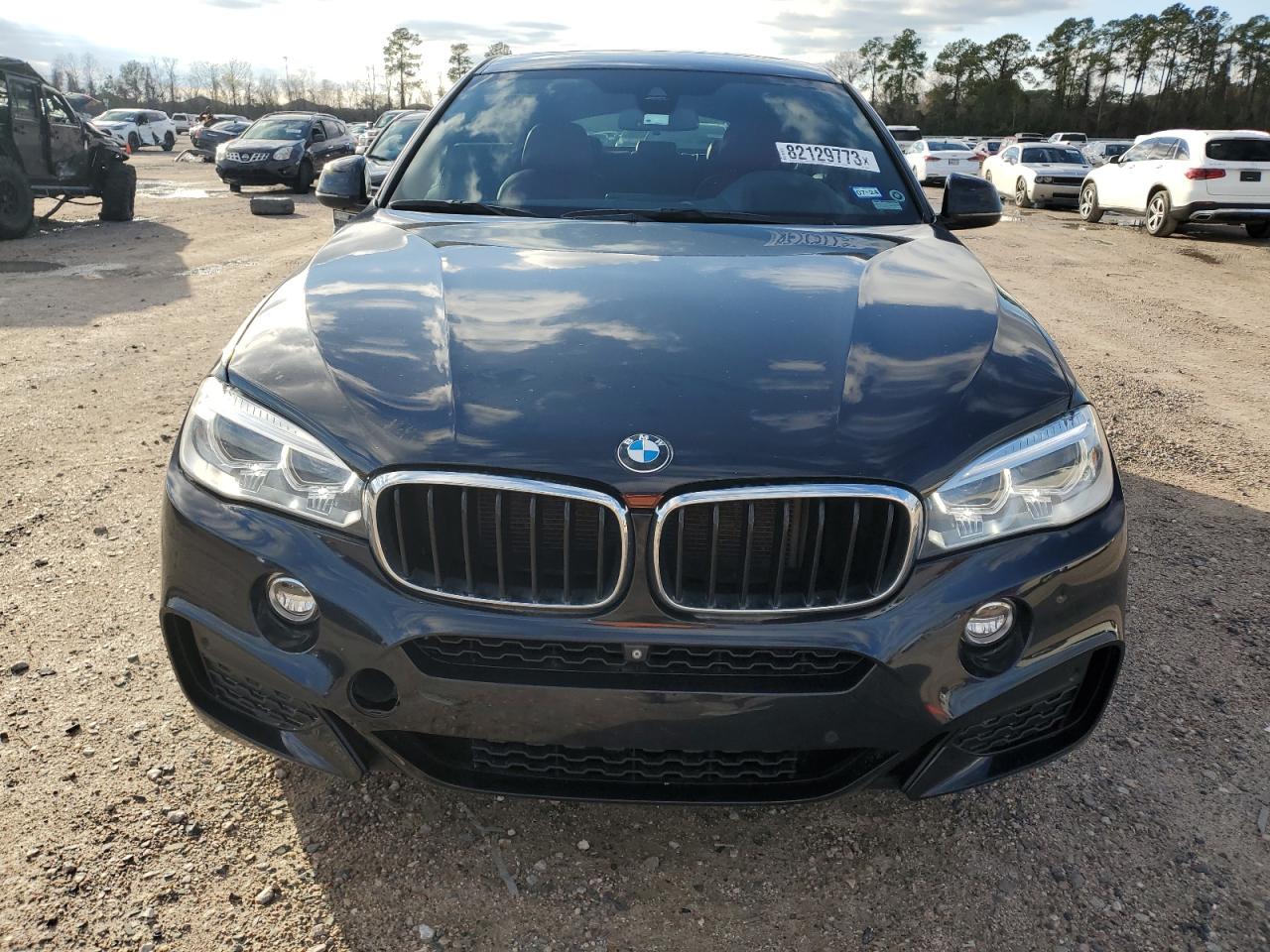 Photo 4 VIN: 5UXKU2C52G0N78206 - BMW X6 