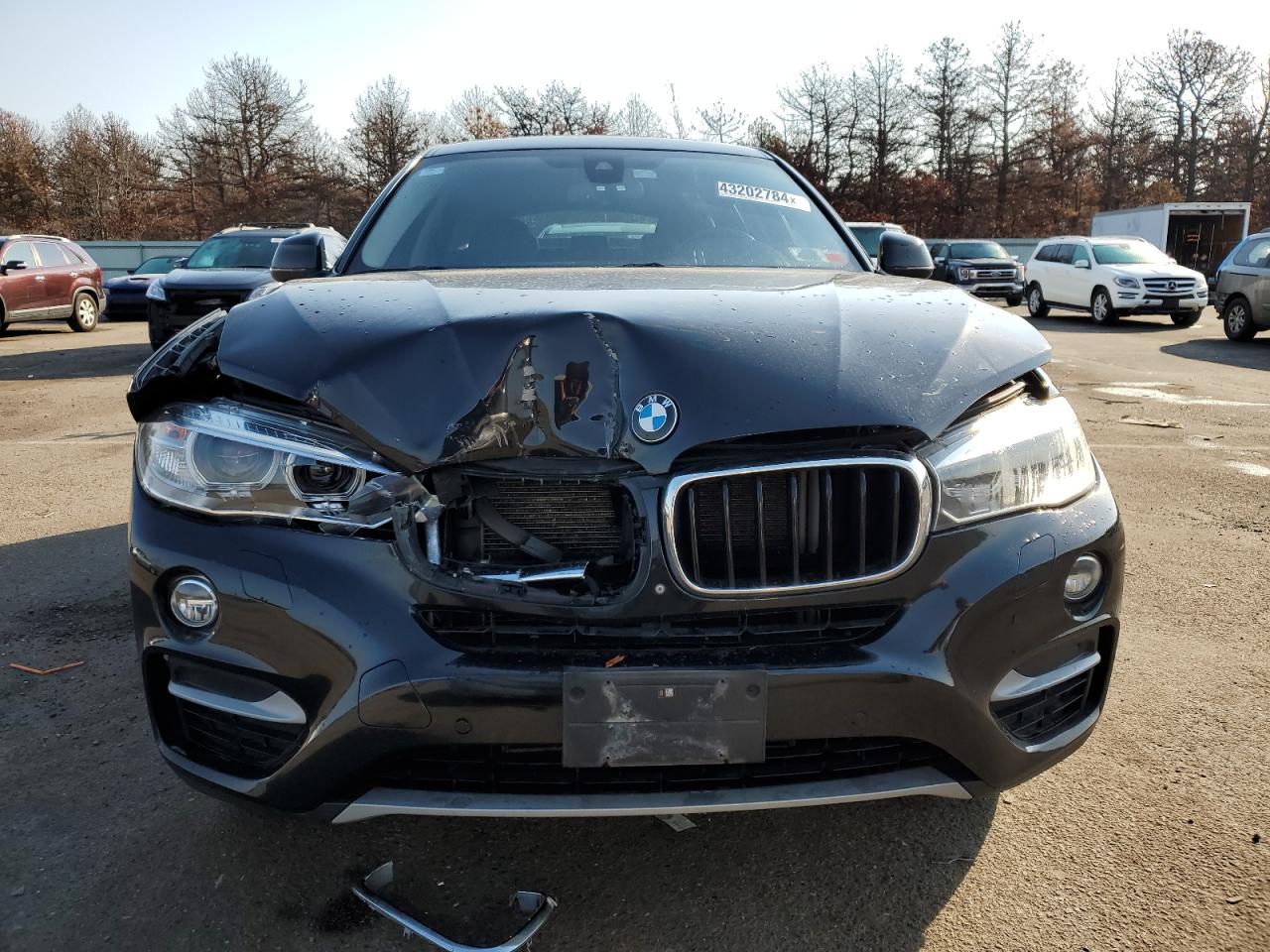 Photo 4 VIN: 5UXKU2C53F0F95758 - BMW X6 