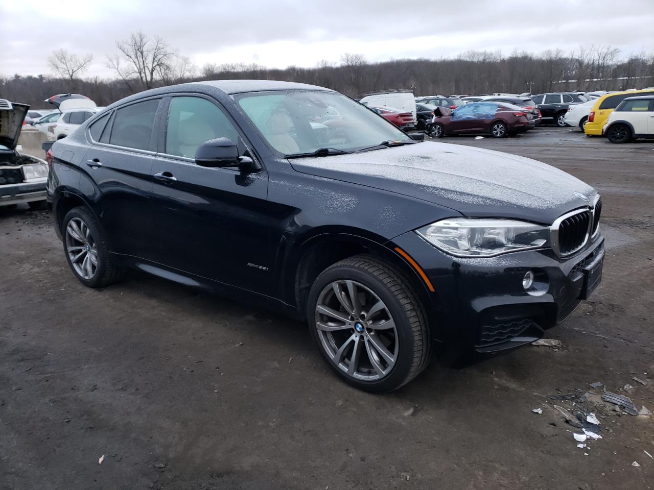 Photo 3 VIN: 5UXKU2C55J0X48372 - BMW X6 