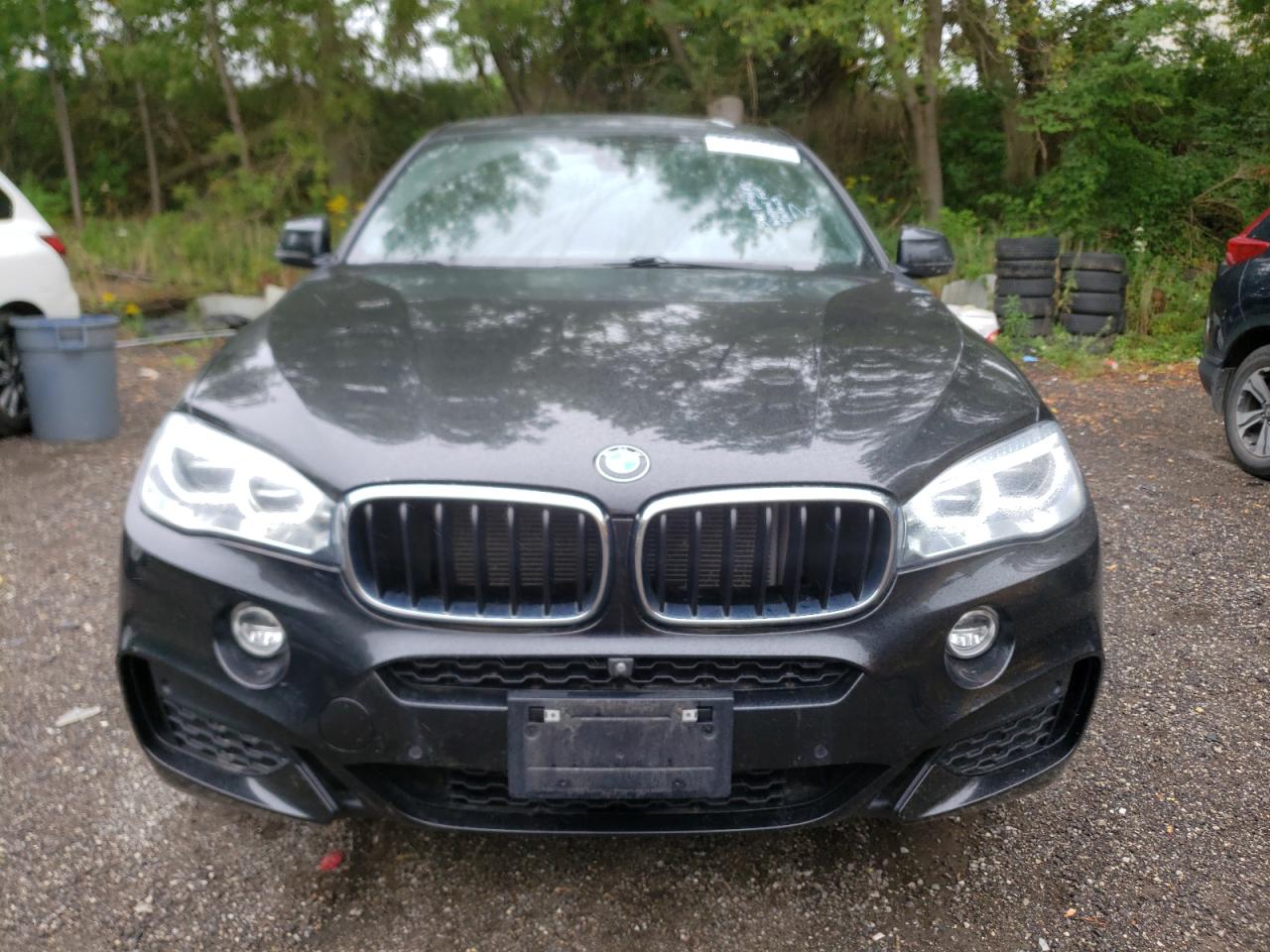 Photo 4 VIN: 5UXKU2C59K0Z64629 - BMW X6 