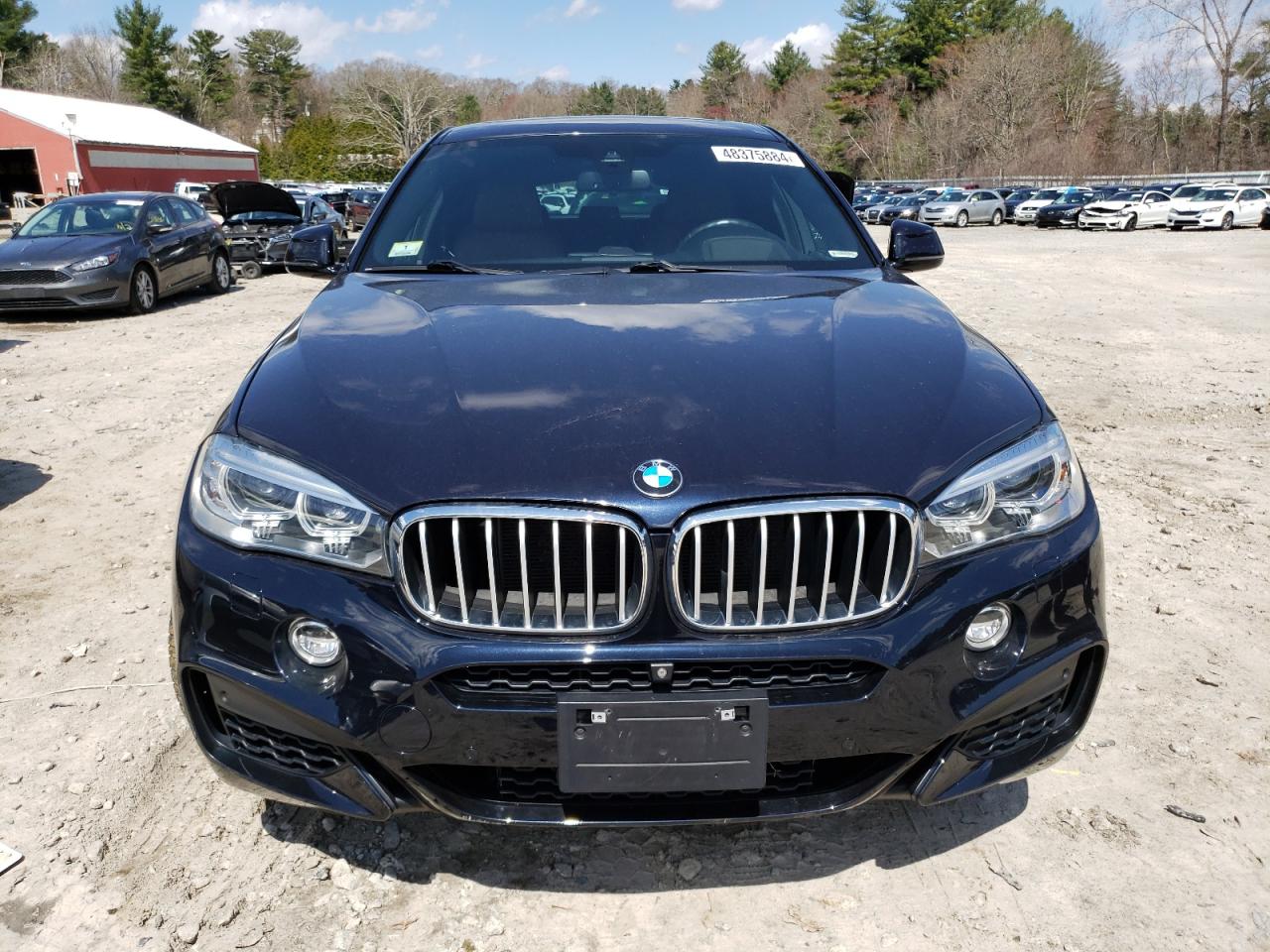 Photo 4 VIN: 5UXKU6C50G0R34367 - BMW X6 