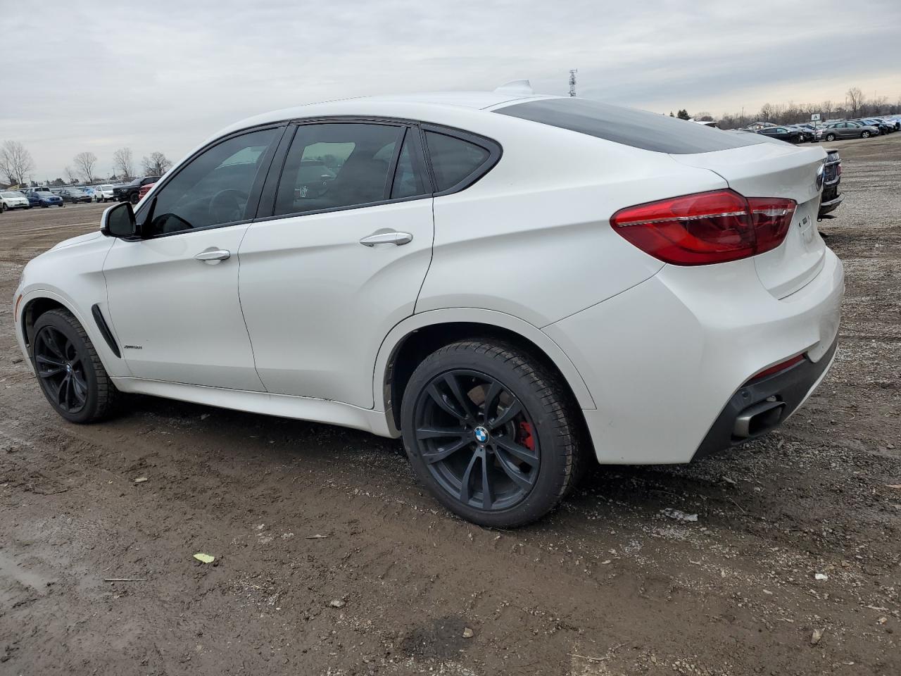 Photo 1 VIN: 5UXKU6C52G0R33818 - BMW X6 