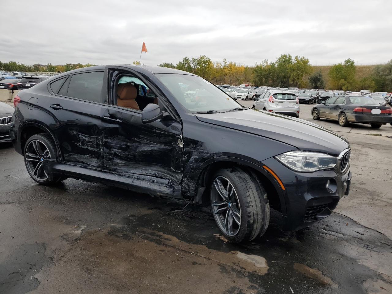 Photo 3 VIN: 5UXKU6C55F0F94425 - BMW X6 