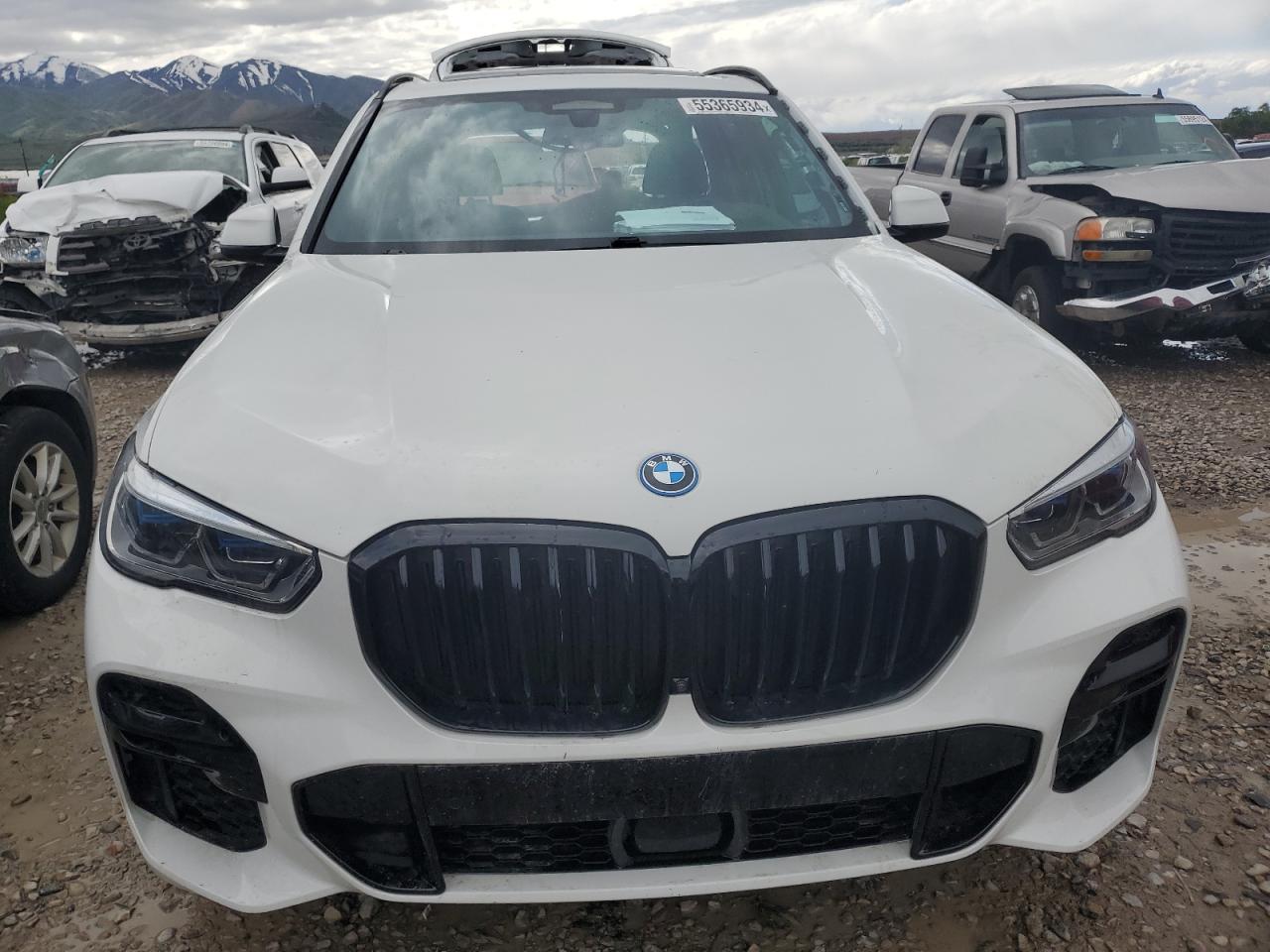 Photo 4 VIN: 5UXTA6C04P9N95903 - BMW X5 