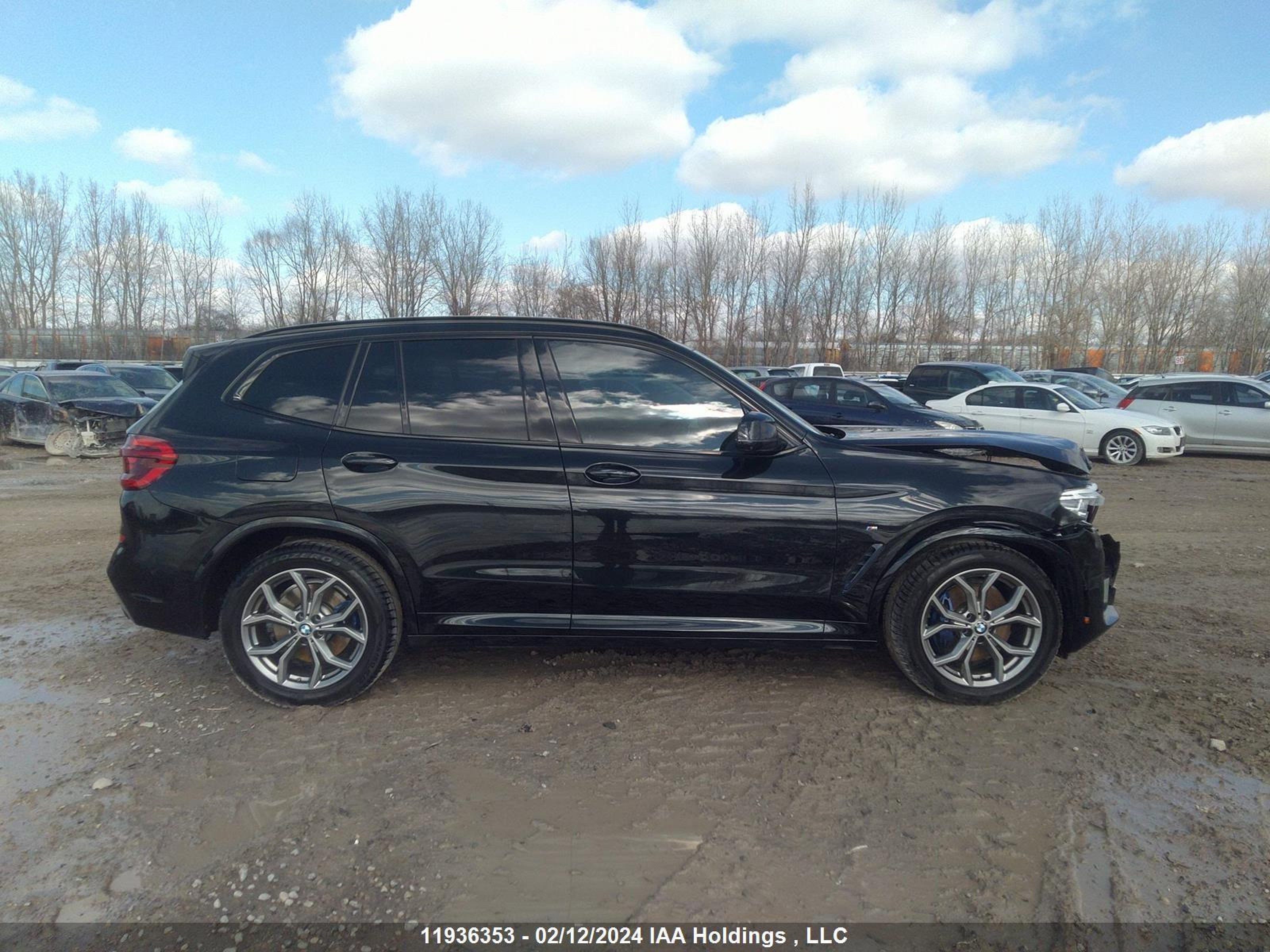 Photo 12 VIN: 5UXTY9C01L9B97624 - BMW X3 