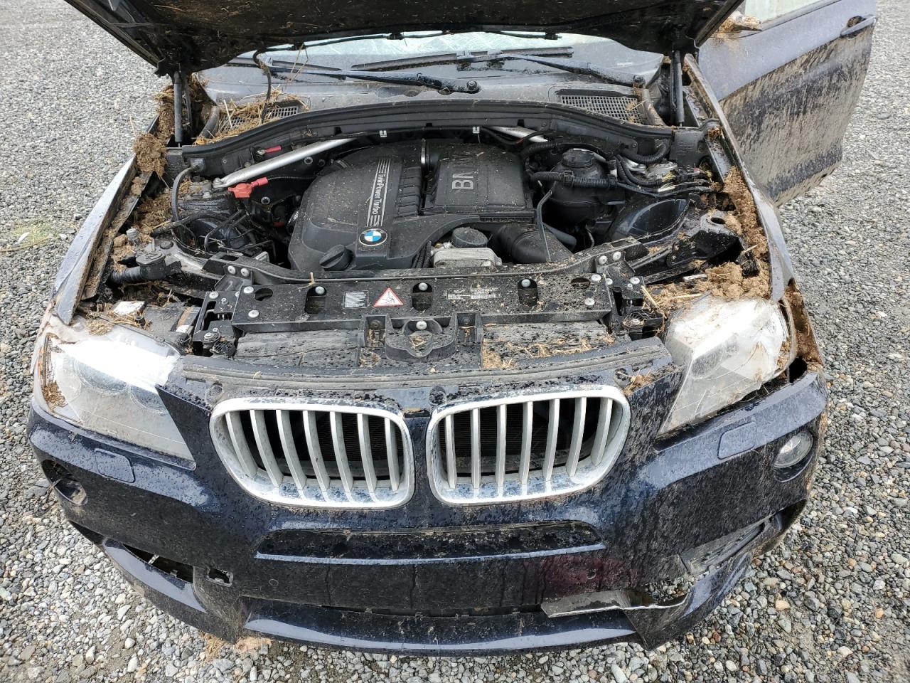 Photo 11 VIN: 5UXWX7C56E0E78812 - BMW X3 