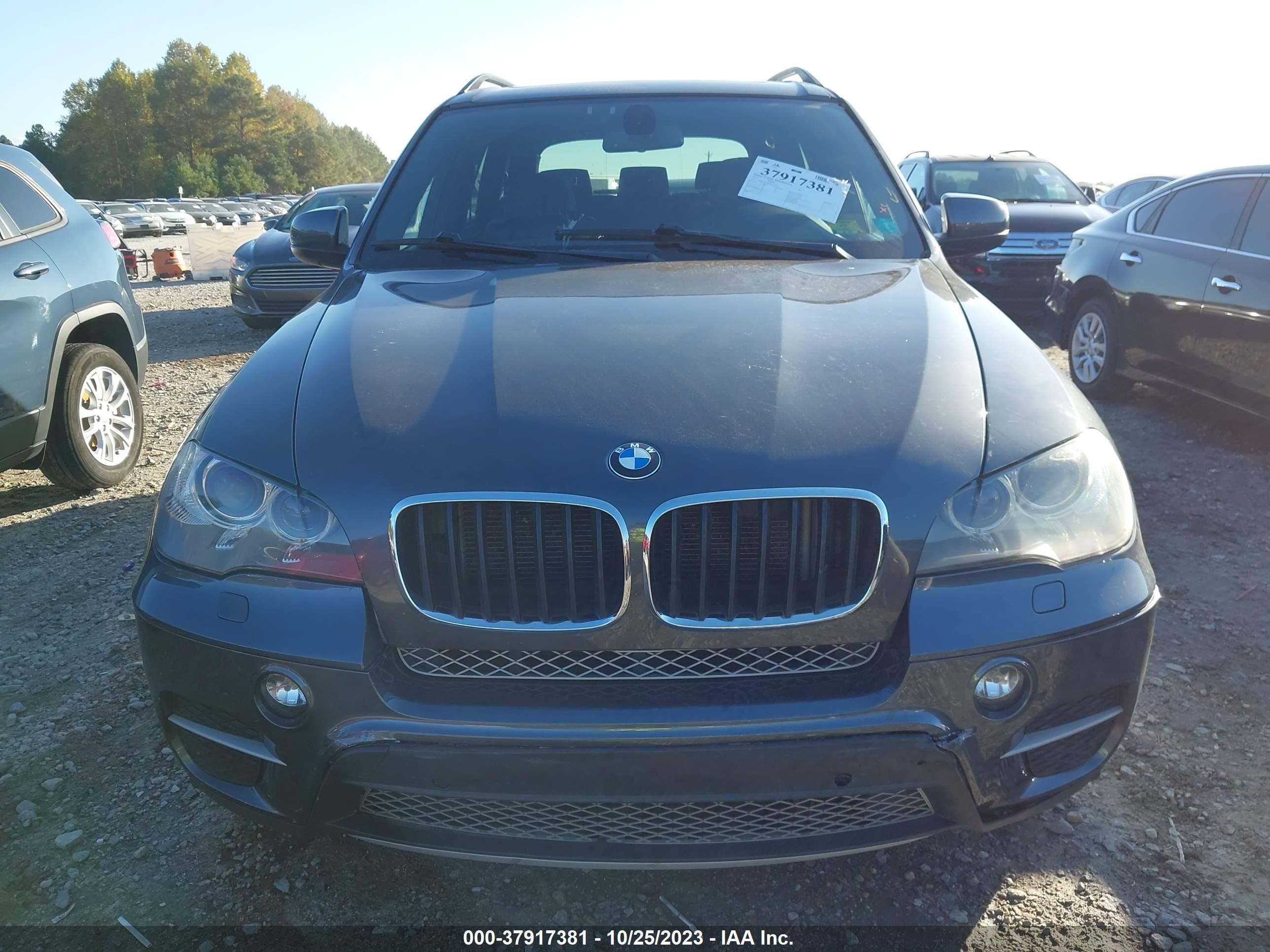 Photo 11 VIN: 5UXZV4C50D0E01370 - BMW X5 