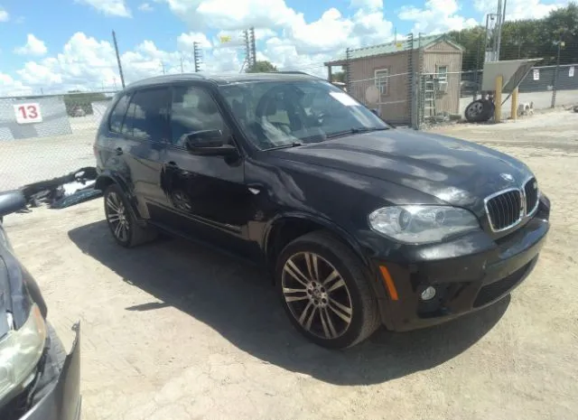 Photo 0 VIN: 5UXZV4C55D0G50909 - BMW X5 