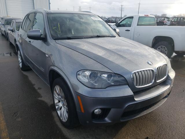 Photo 0 VIN: 5UXZV8C53D0C16303 - BMW X5 XDRIVE5 