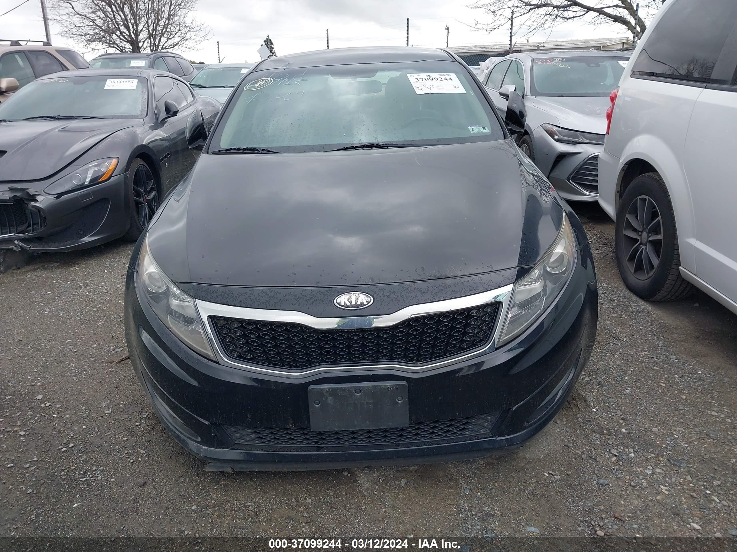 Photo 11 VIN: 5XXGM4A71DG240636 - KIA OPTIMA 