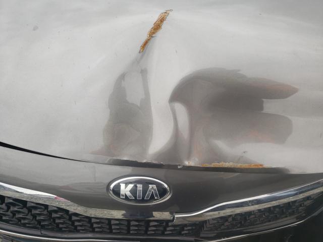 Photo 6 VIN: 5XXGM4A72DG243934 - KIA OPTIMA LX 