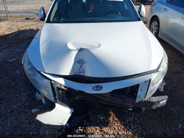 Photo 5 VIN: 5XXGM4A72DG250642 - KIA OPTIMA 