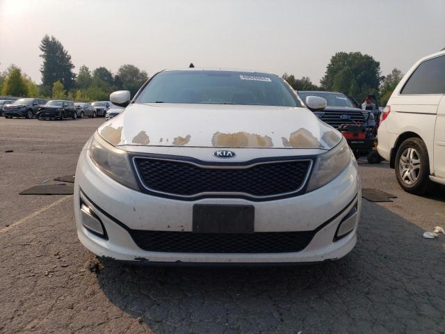 Photo 4 VIN: 5XXGM4A73EG288026 - KIA OPTIMA LX 