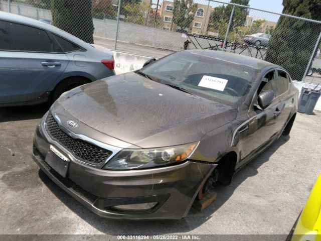 Photo 1 VIN: 5XXGM4A75DG242020 - KIA OPTIMA 