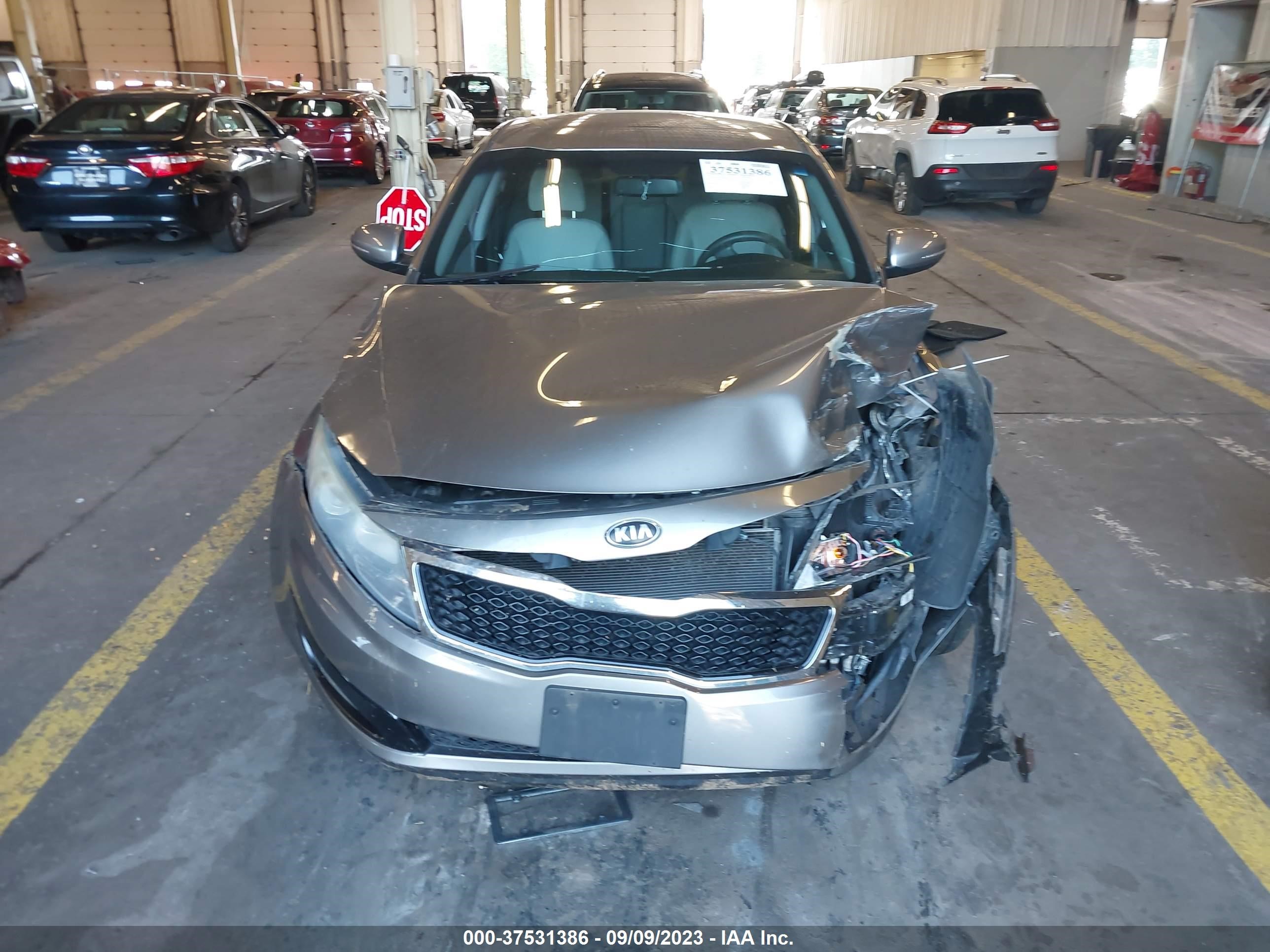 Photo 12 VIN: 5XXGM4A76DG166176 - KIA OPTIMA 