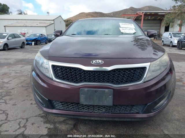 Photo 5 VIN: 5XXGM4A78DG129713 - KIA OPTIMA 