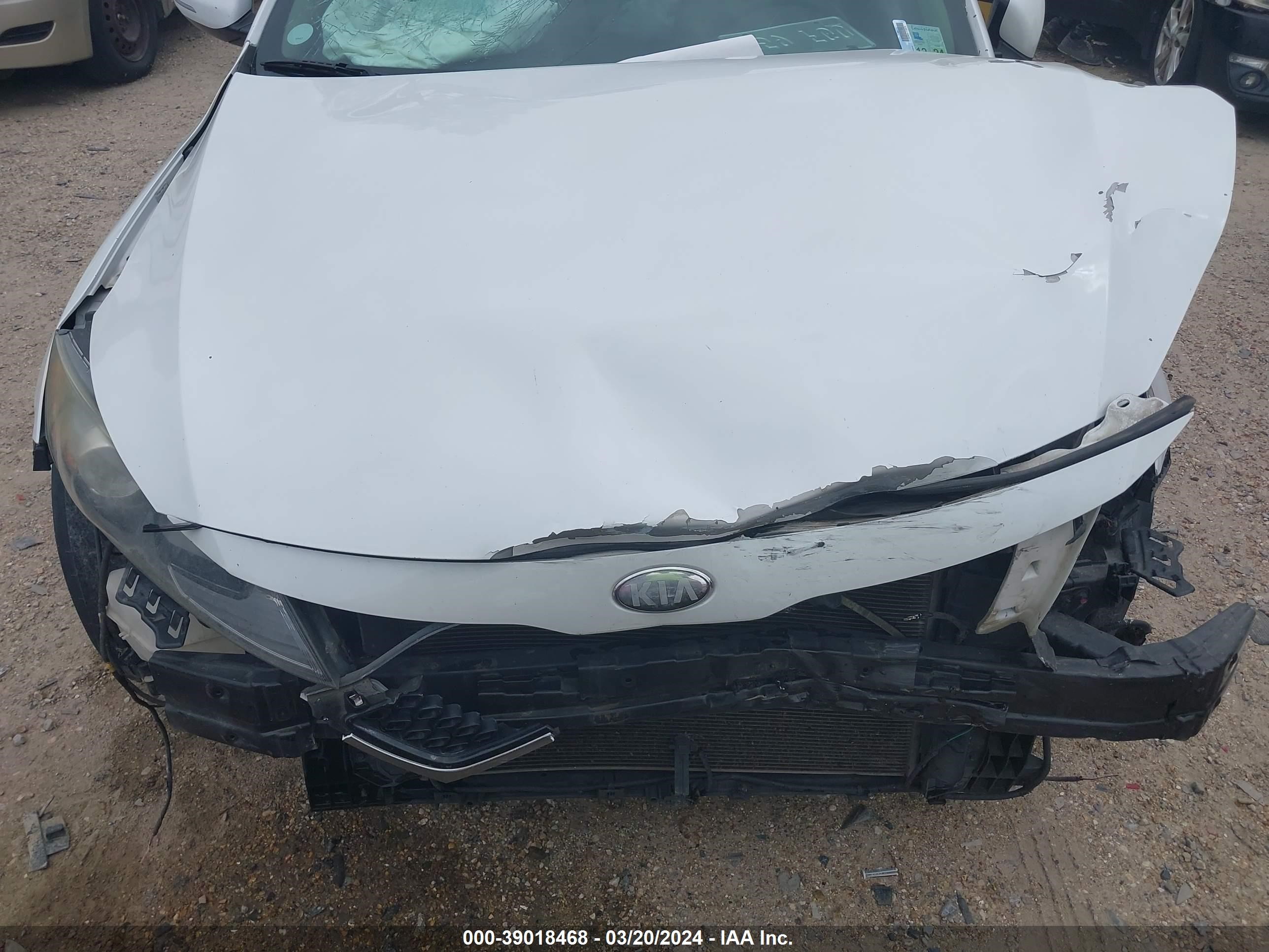 Photo 12 VIN: 5XXGM4A7XDG185314 - KIA OPTIMA 