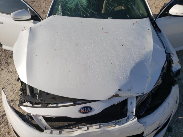 Photo 10 VIN: 5XXGM4A7XFG354931 - KIA OPTIMA 