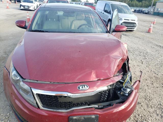 Photo 10 VIN: 5XXGN4A71DG218505 - KIA OPTIMA 