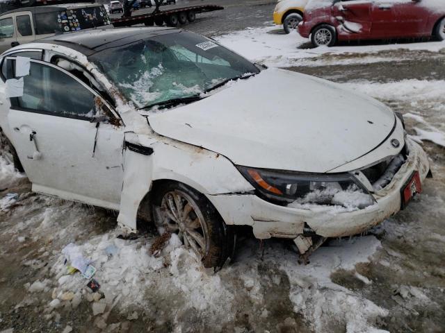 Photo 8 VIN: 5XXGN4A73EG295166 - KIA OPTIMA EX 