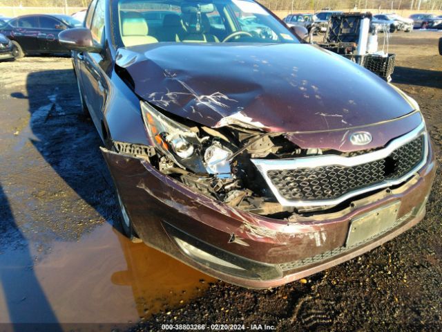 Photo 5 VIN: 5XXGN4A74DG125767 - KIA OPTIMA 