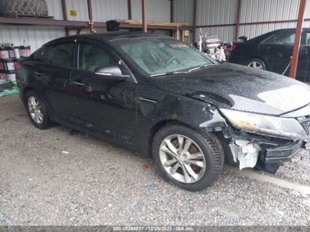 Photo 0 VIN: 5XXGN4A74DG169185 - KIA OPTIMA 